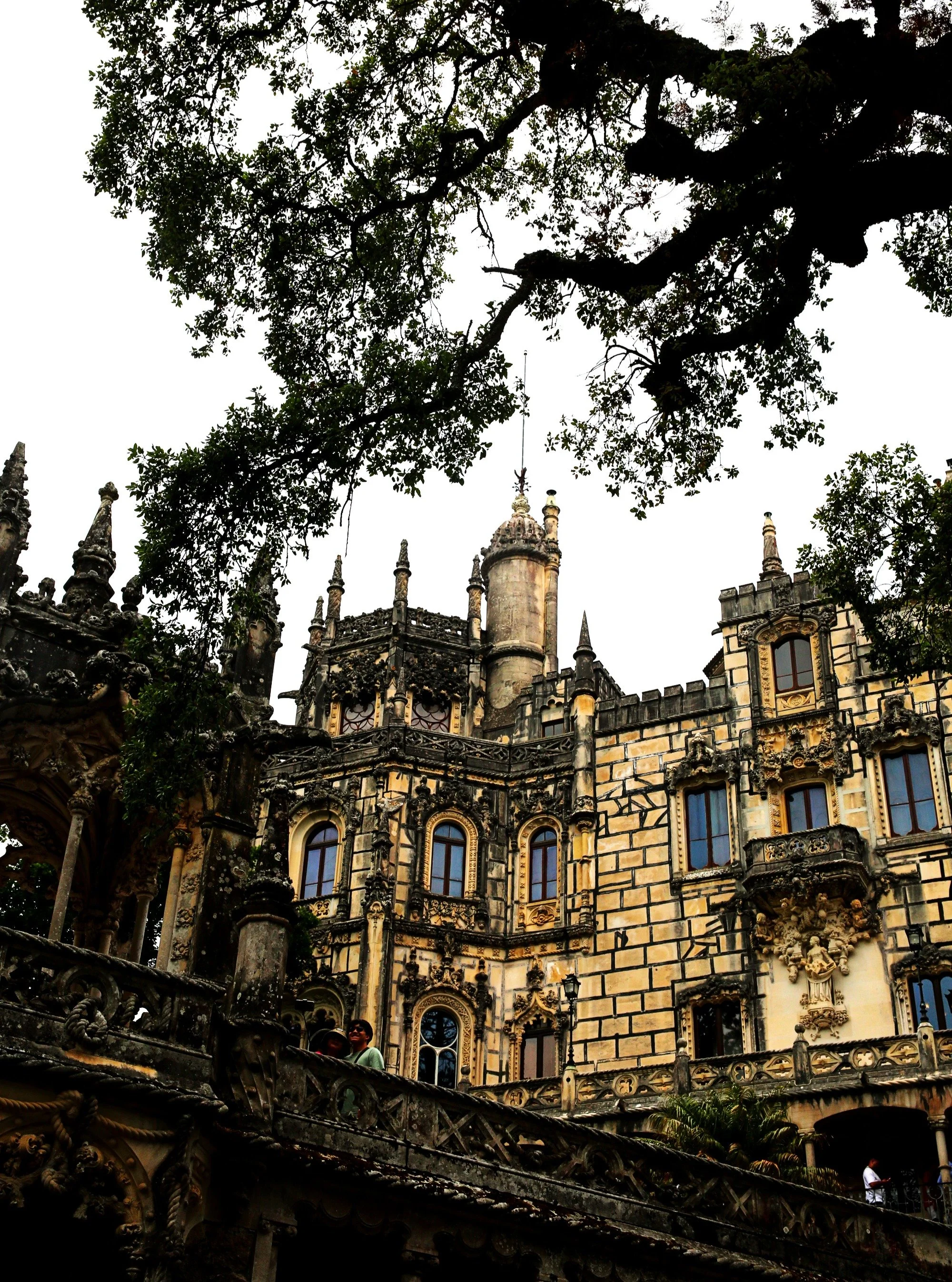 📸 Photo Walk in Sintra &amp; Quinta da Regaleira 🌿✨

Join us for a creative photo walk through the enchanting town of Sintra, including a visit to the iconic Quinta da Regaleira. From mysterious tunnels and hidden gardens to stunning architecture a
