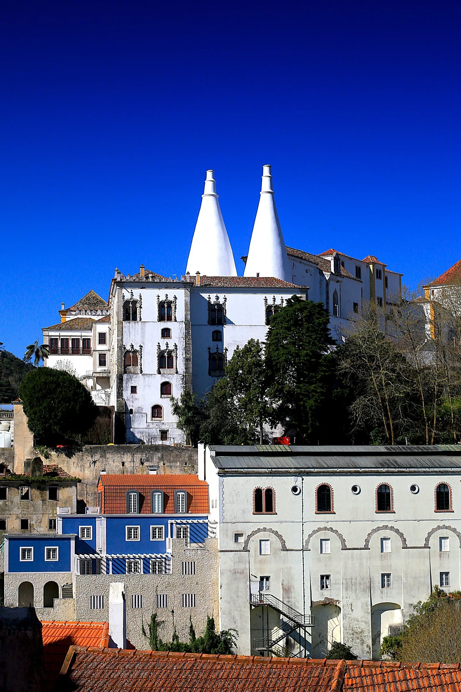 3.5-Hour Guided Photography Tour