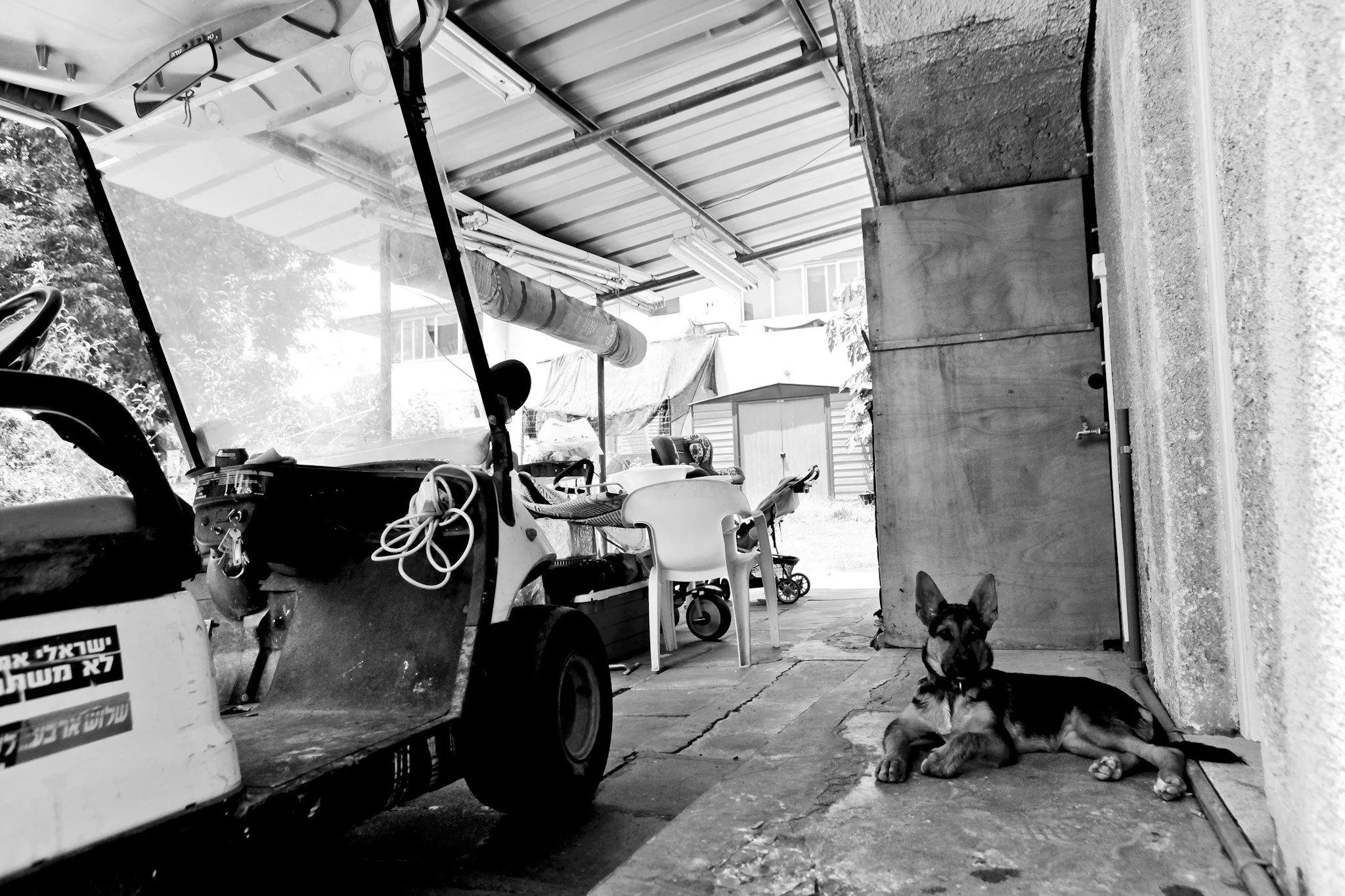 B_BenMichaeli_024 .jpg