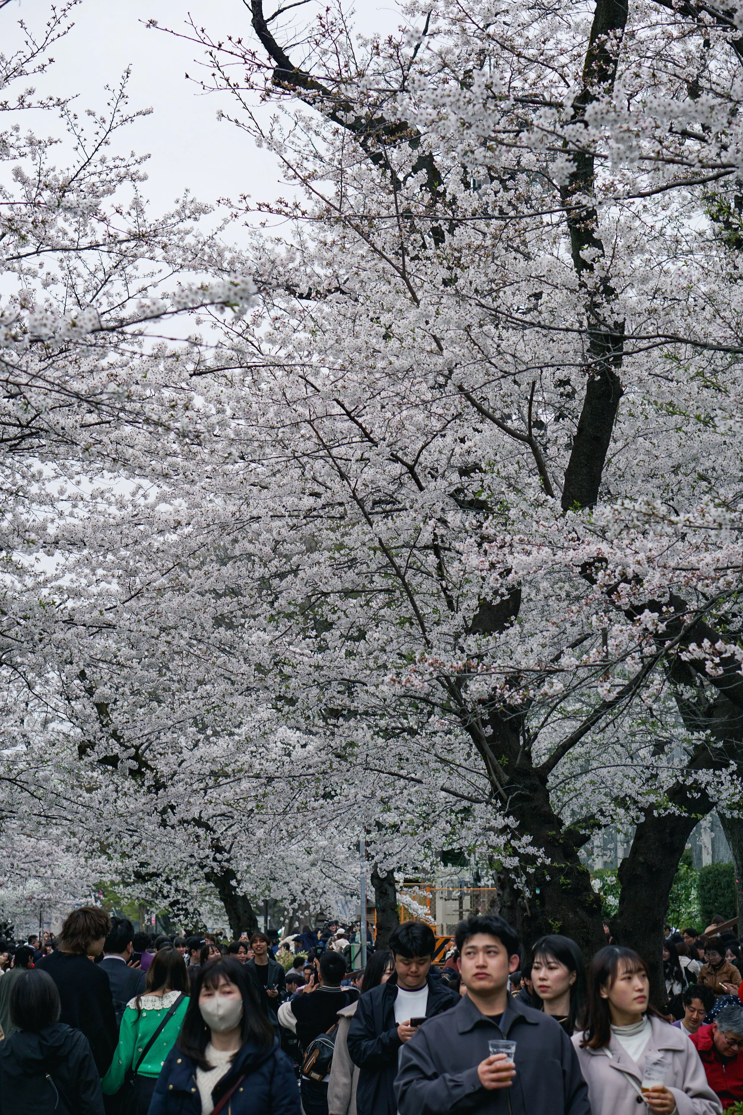 DSC01389.jpg