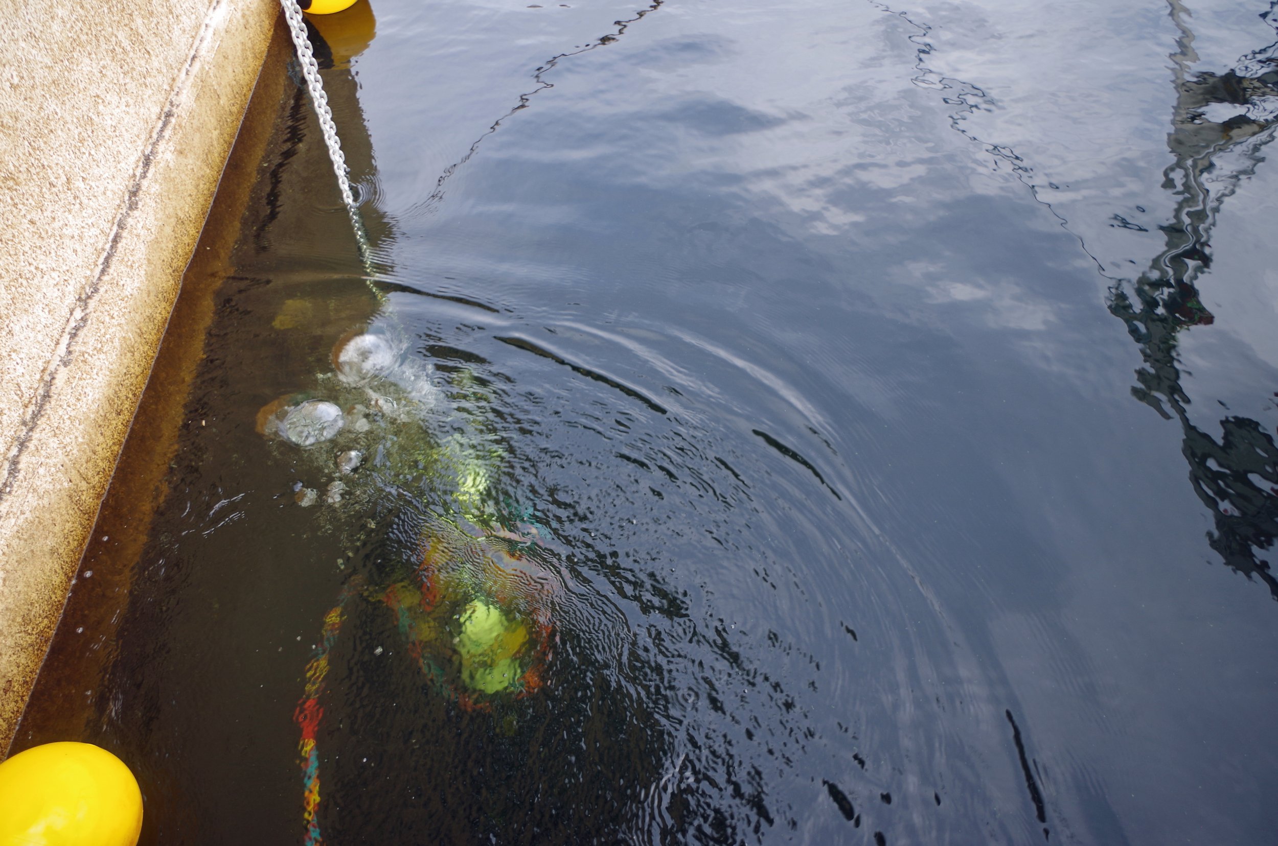 MMP divers preparing to remove an old valve 
