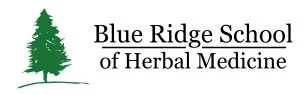 Blue Ridge School- New Site