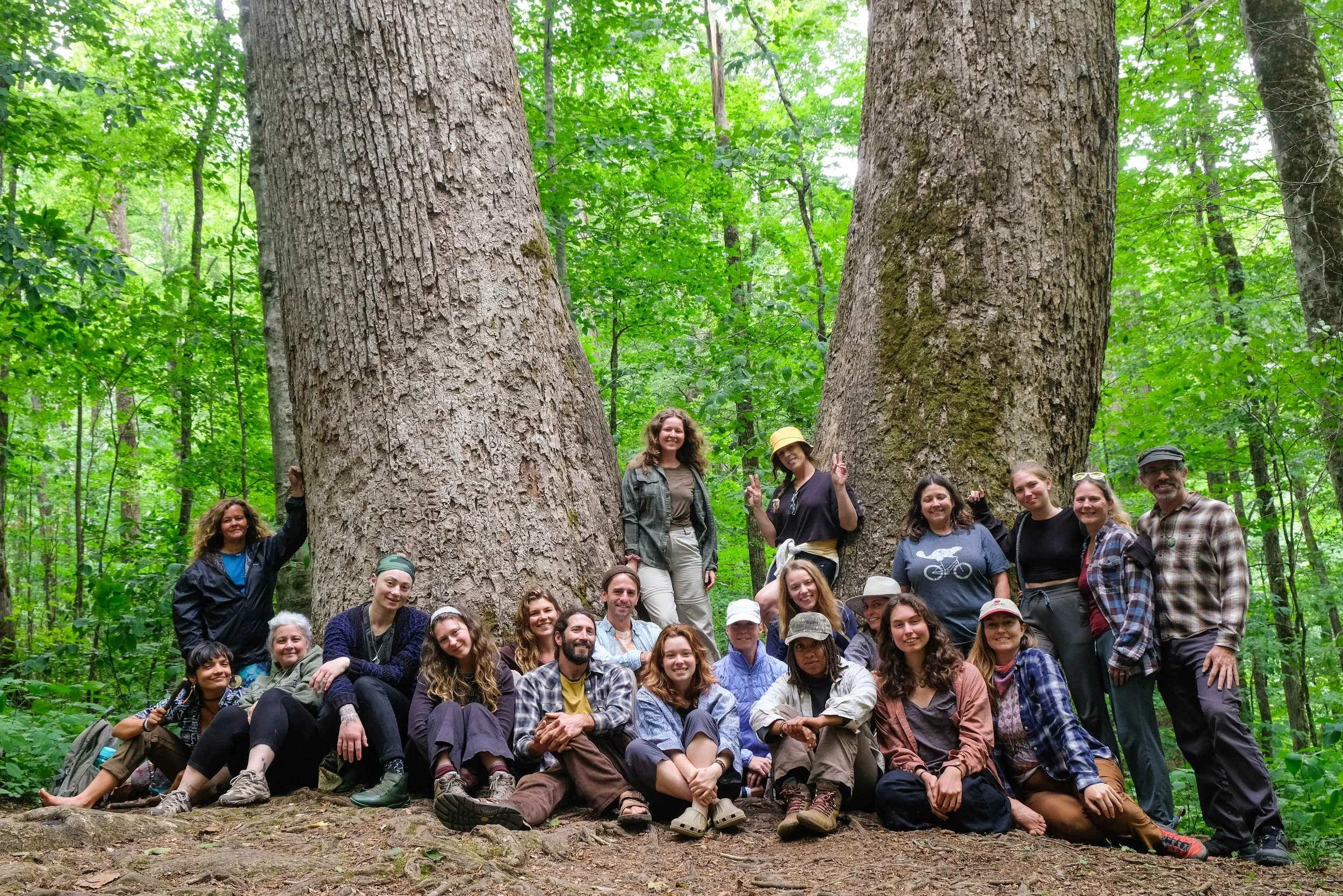 Blue Ridge School of Herbal Medicine, herbalist schools, herbal medicine school, herbalist school near me, herbalism schools, herbalism school