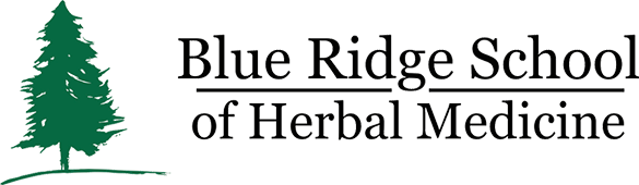 Blue Ridge School- New Site