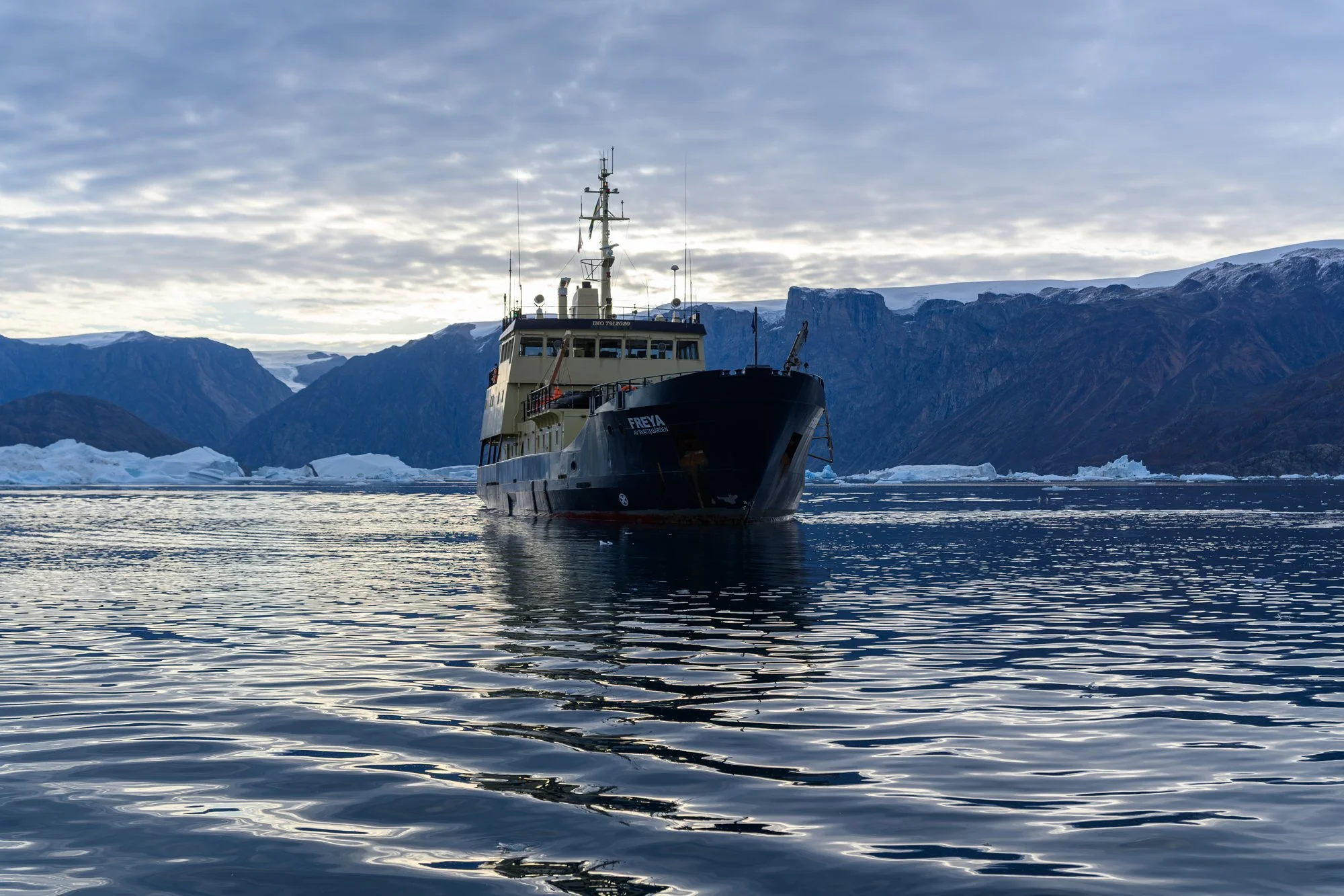 NZR_1485.jpg
