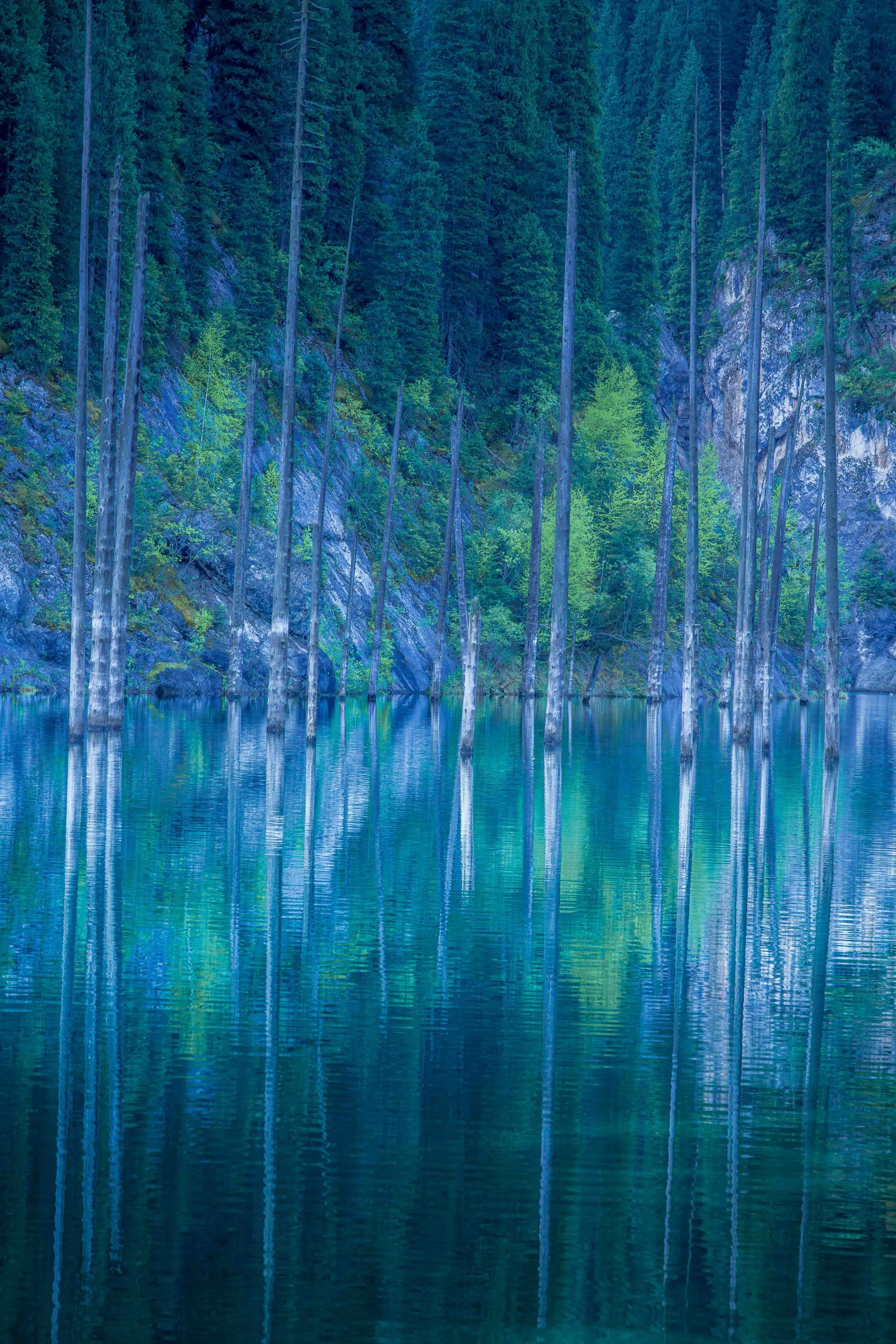 _ALC0421.jpg