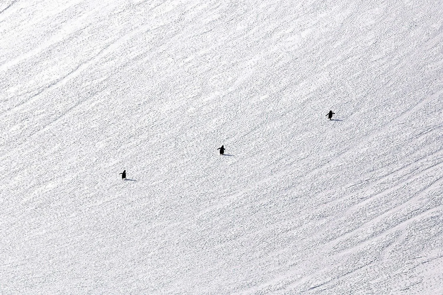 preview_742030e6_aa327468.jpg