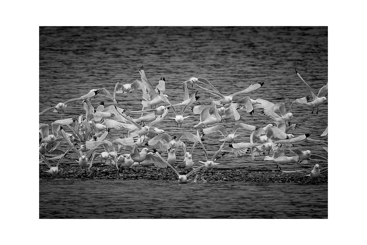 preview_9143b054_5e41045b.jpg