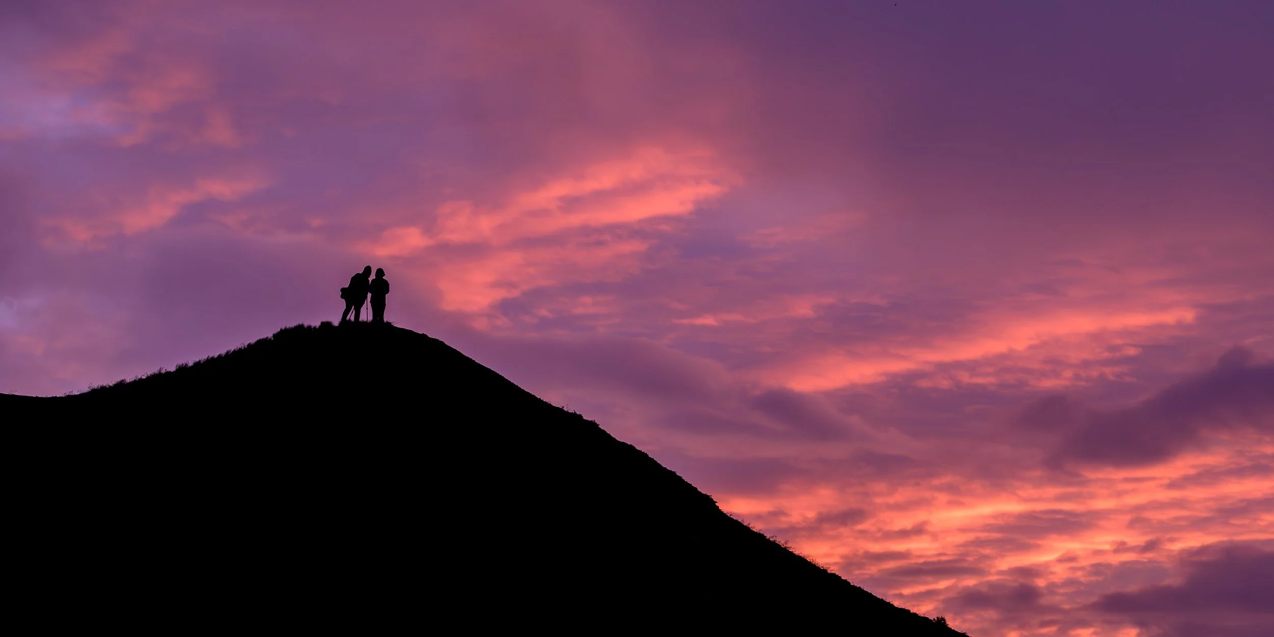 NZF_0307.jpg