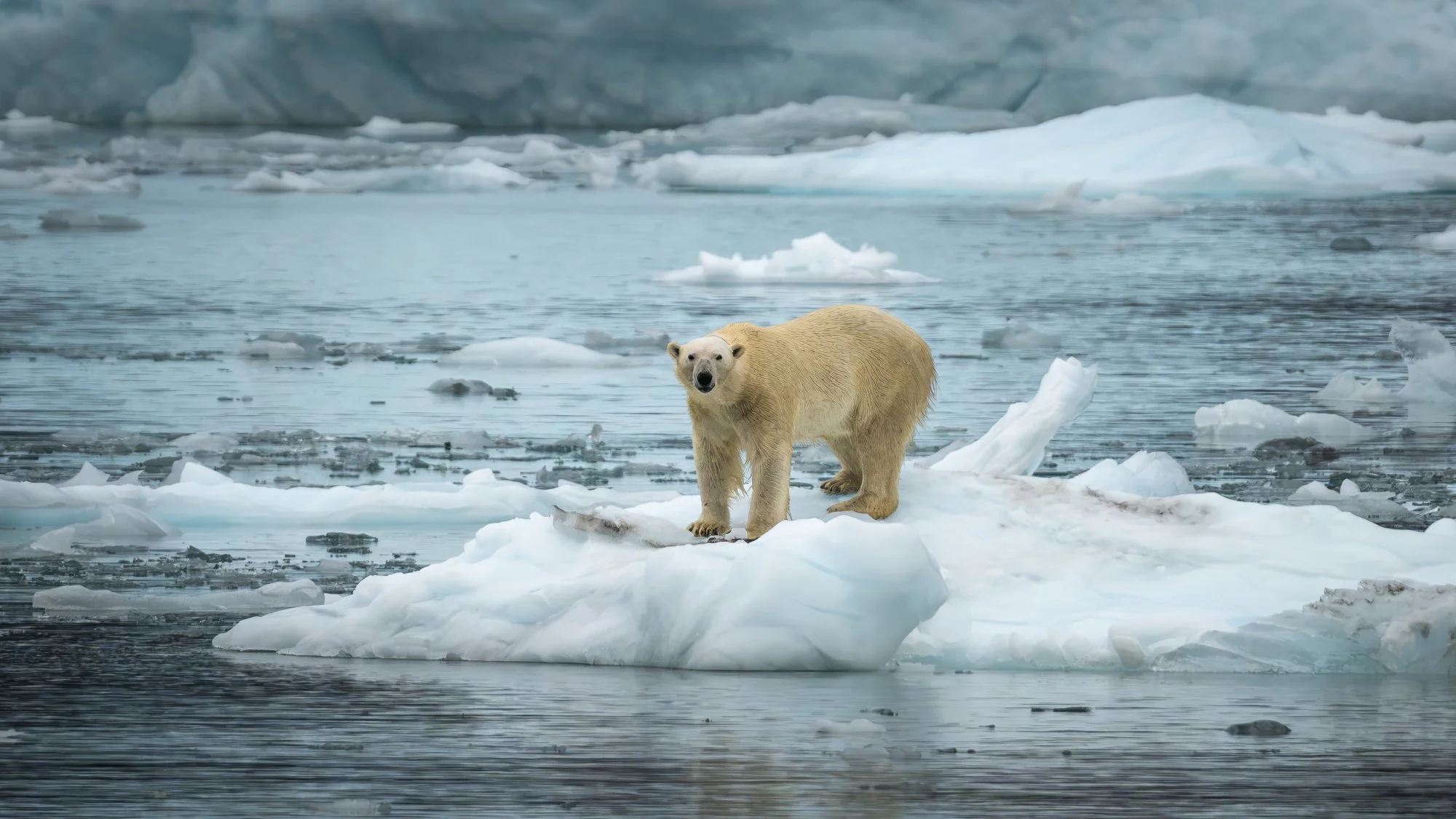 _ALC2643-Edit.jpg