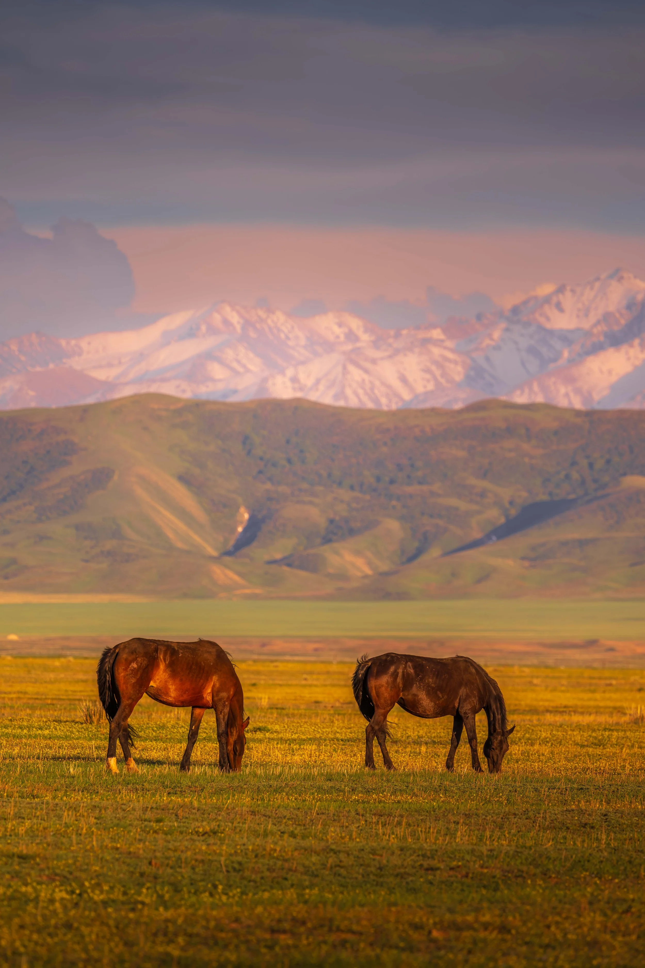 _ALC0872.jpg