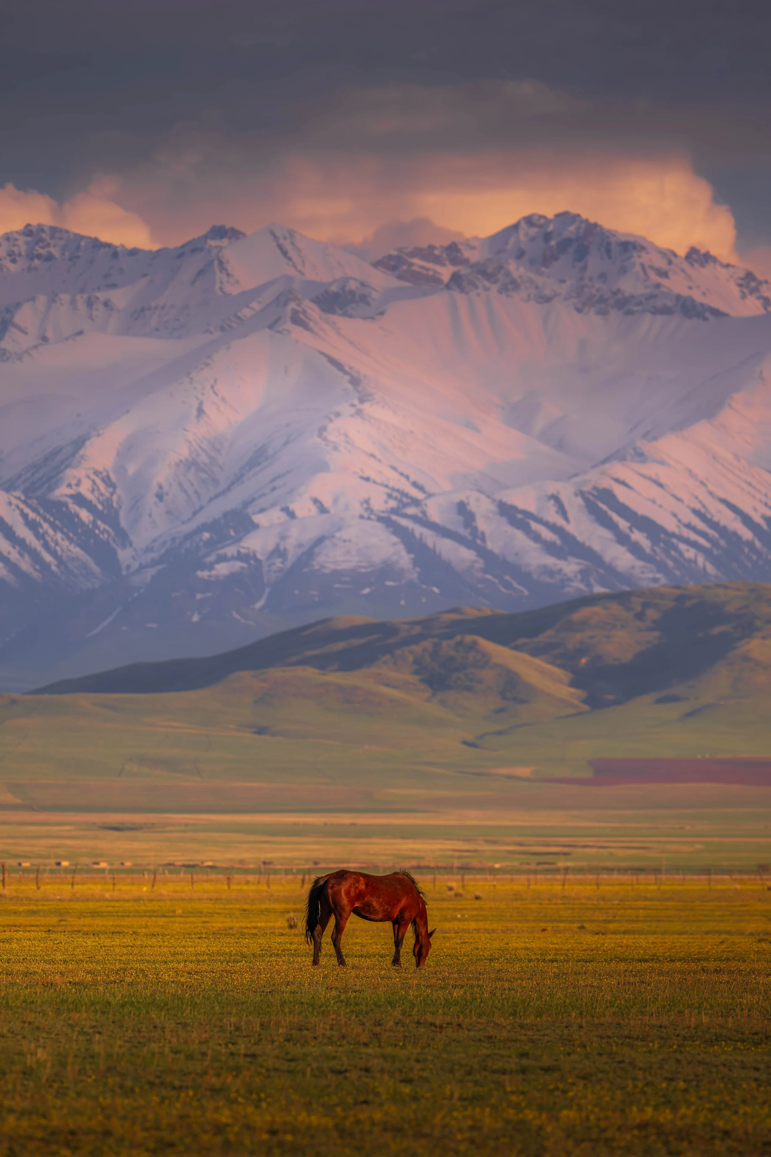 _ALC0866.jpg