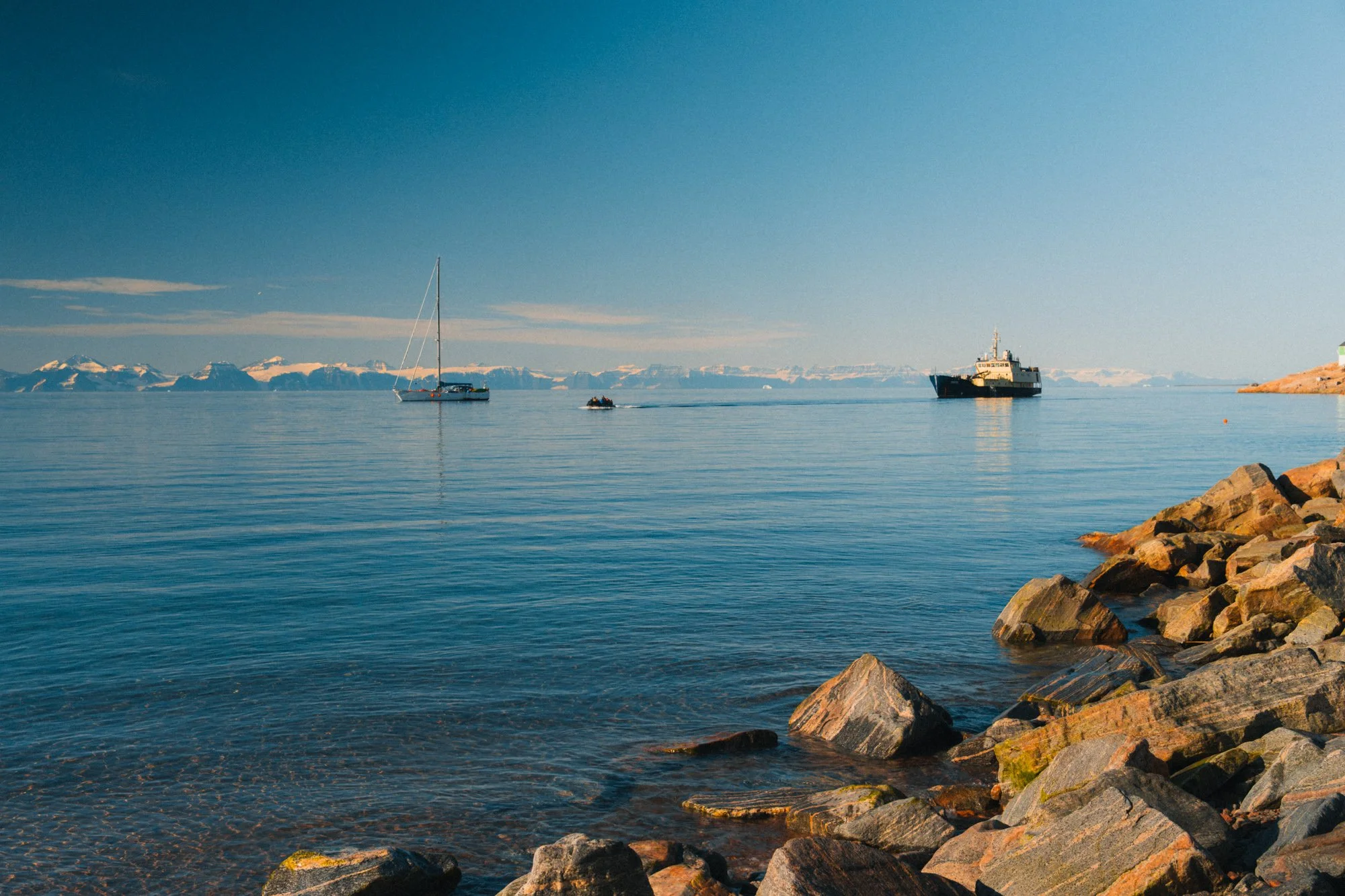 NZR_2644.jpg