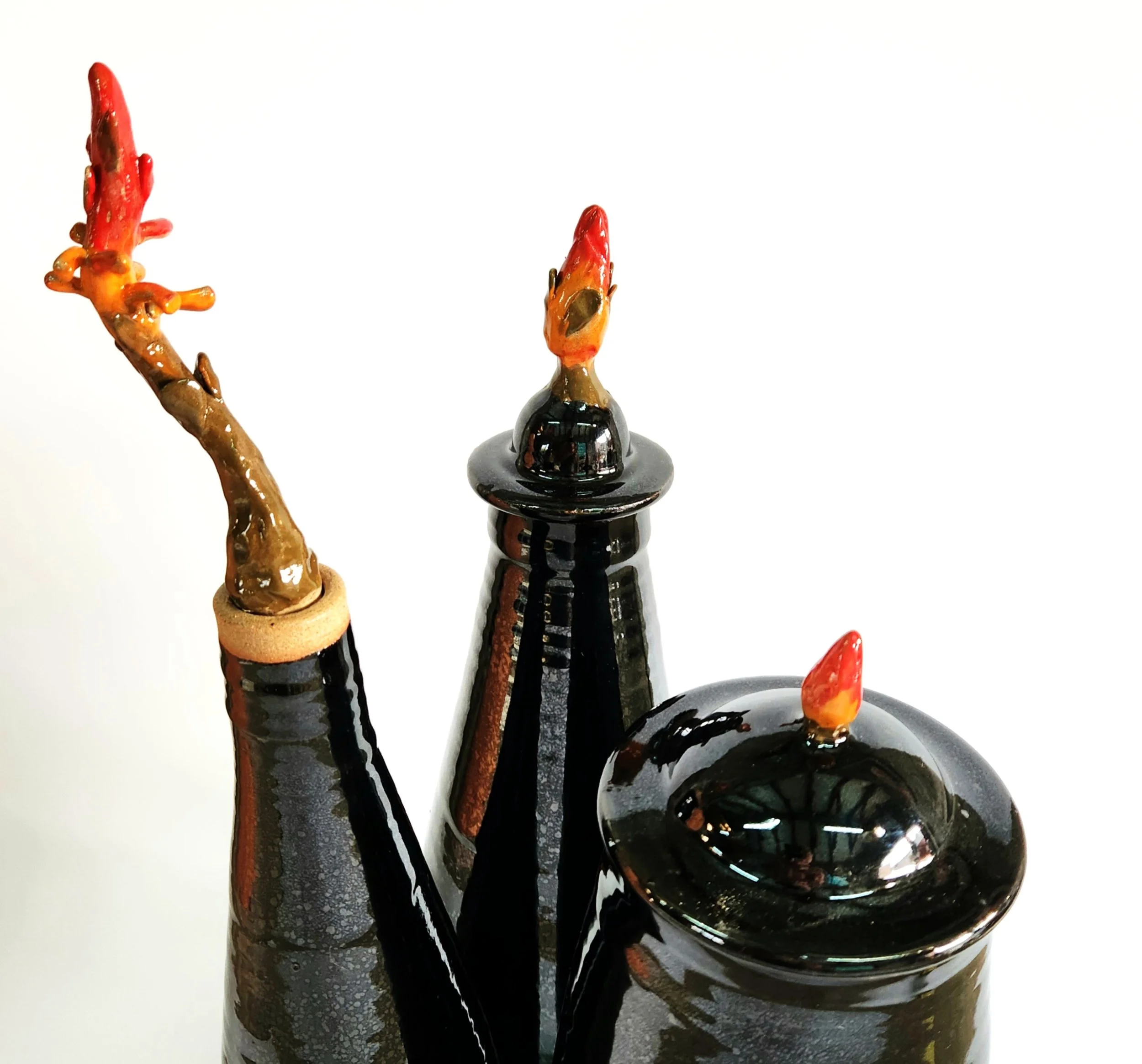 Evolution details.JPG