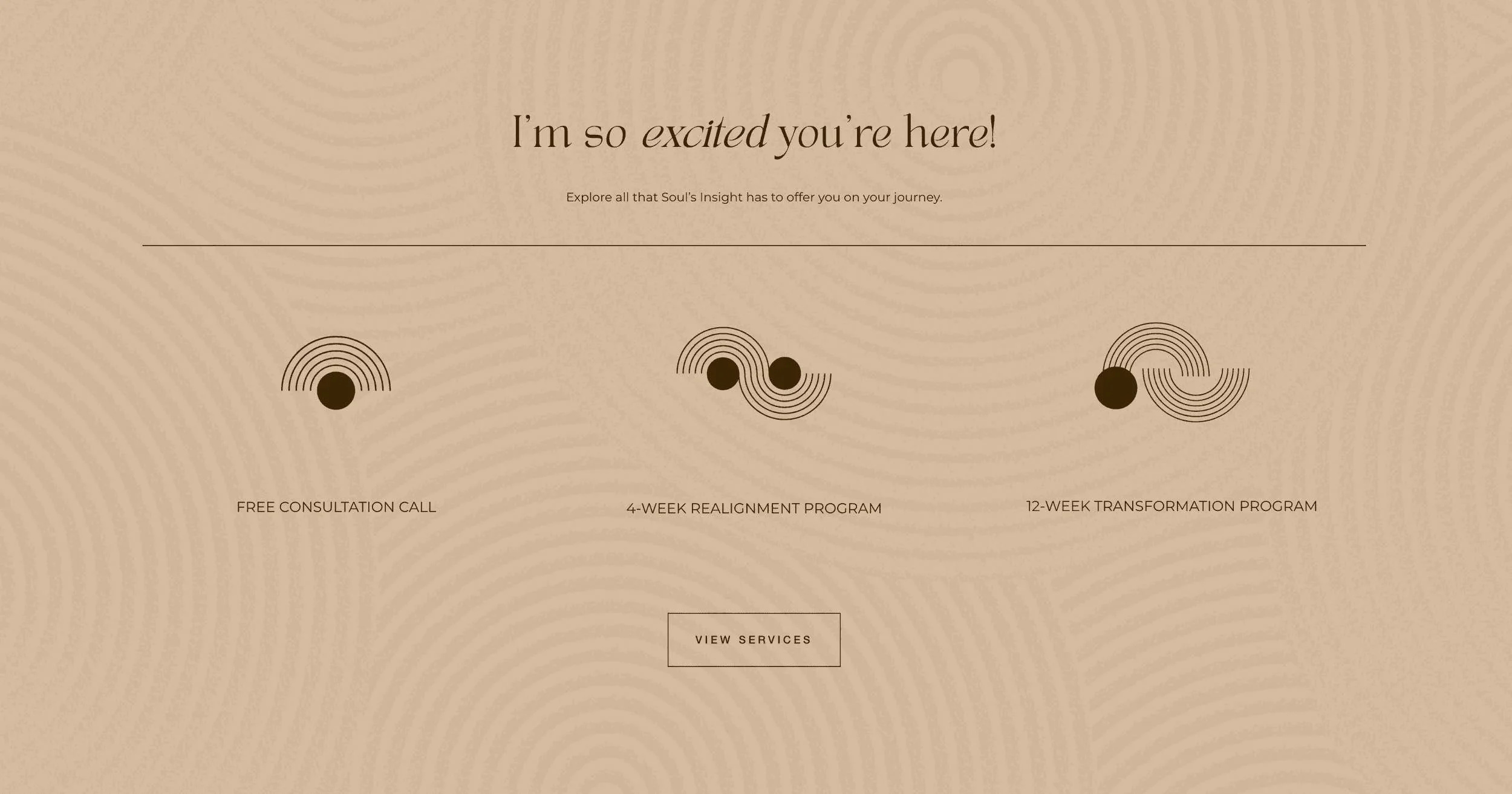 Souls Insight website layout