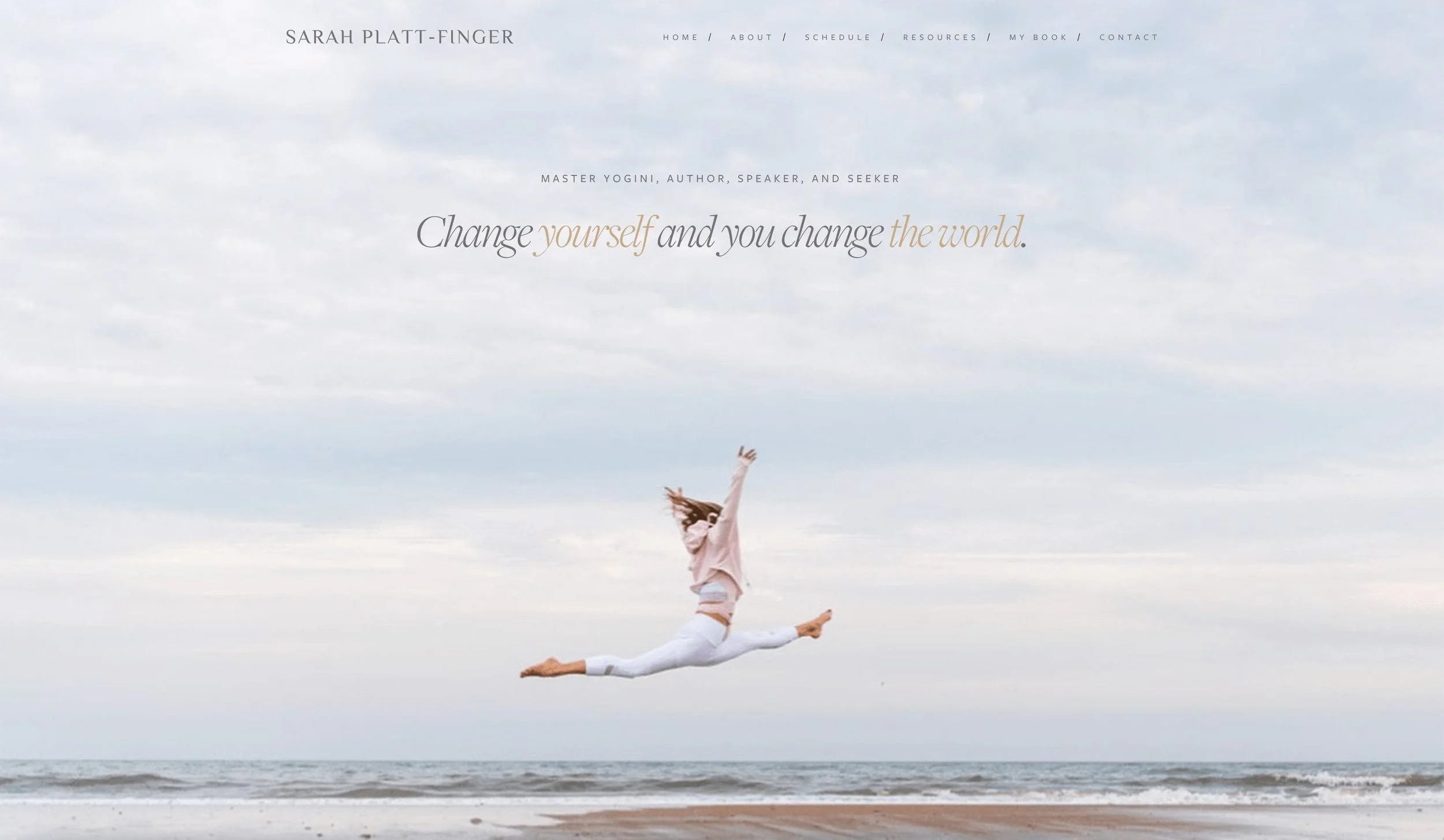 Sarah Platt Finger website design