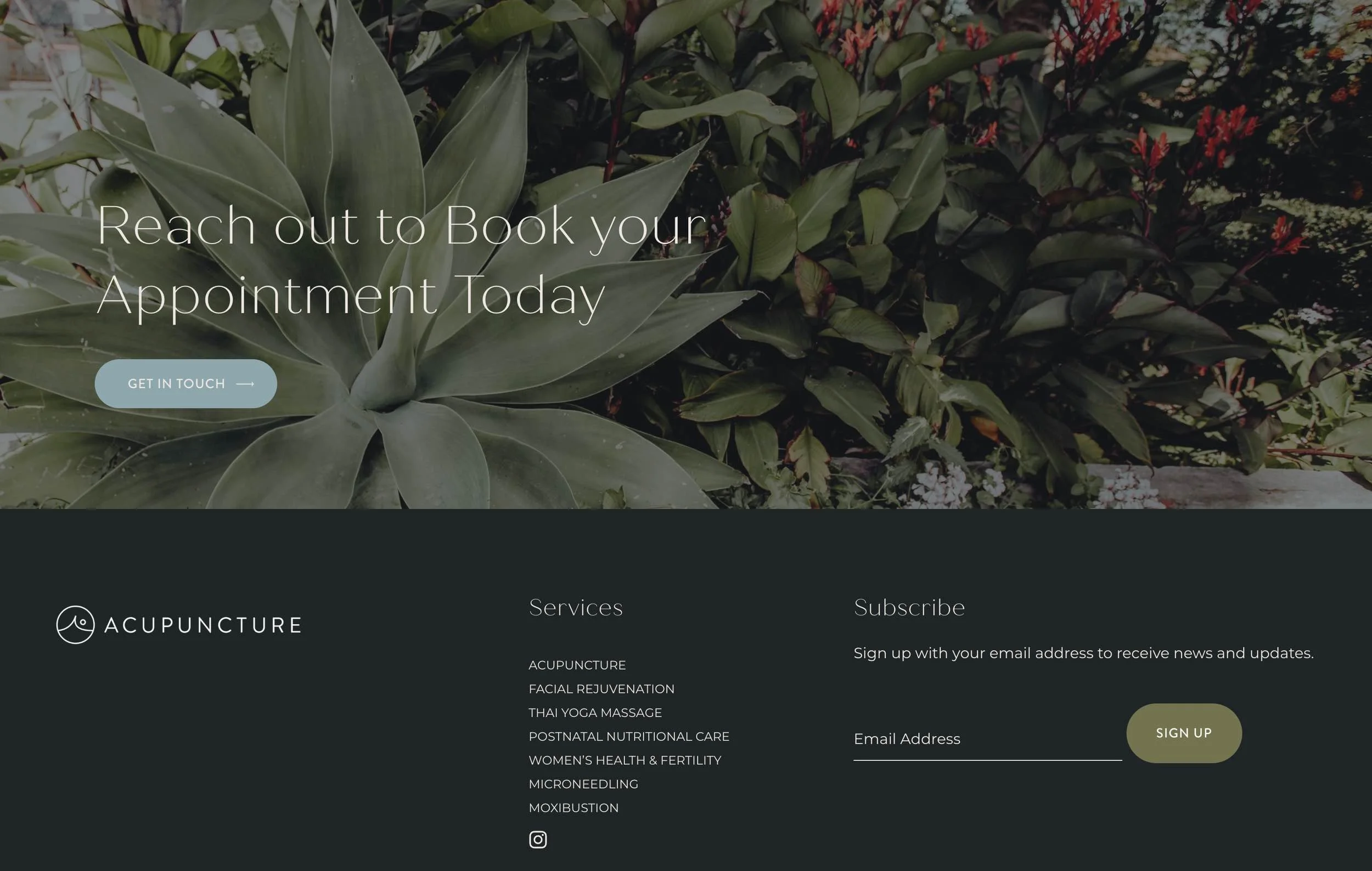 Wellness practitioner website design
