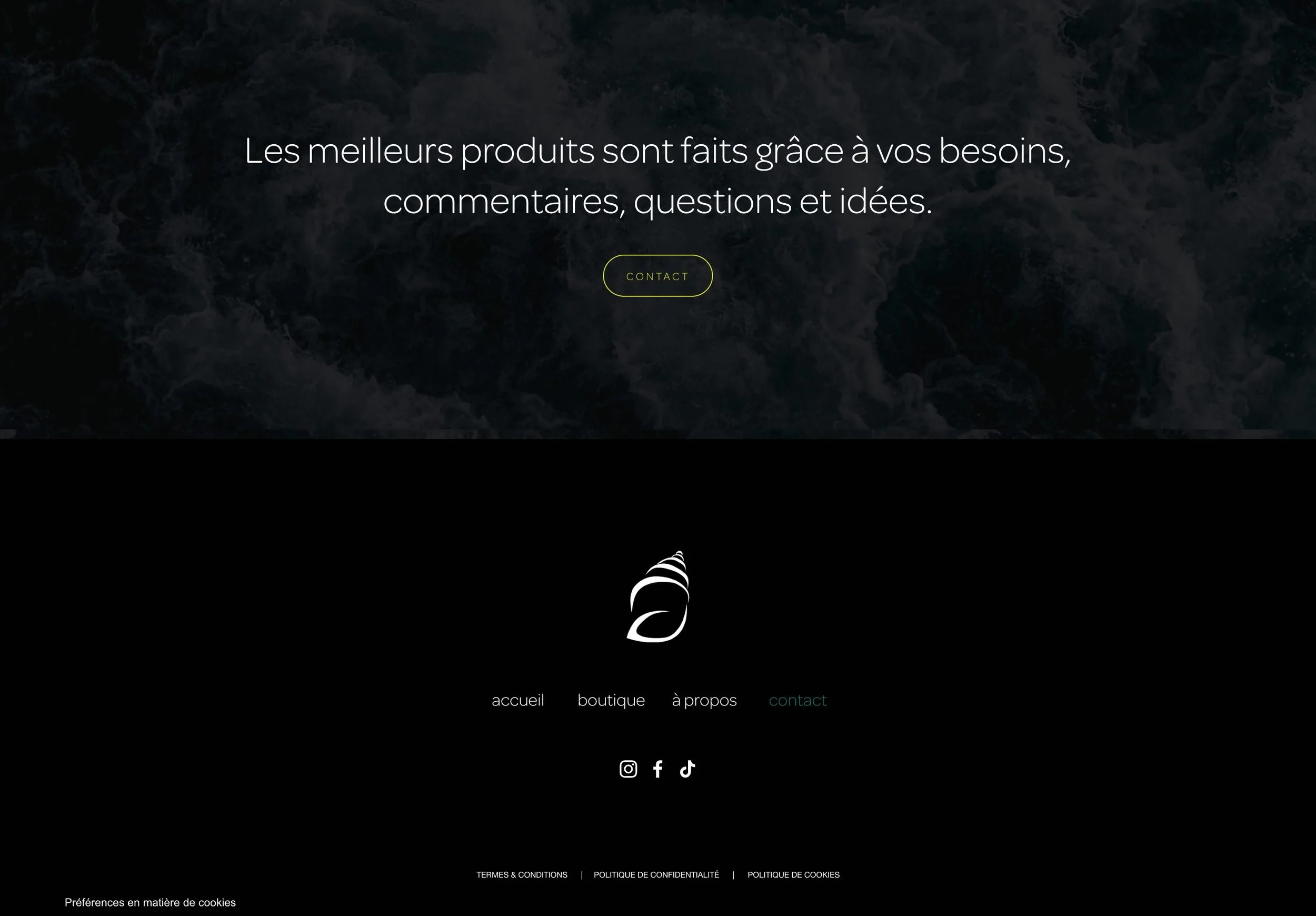 Outsiders Cosmetics website design