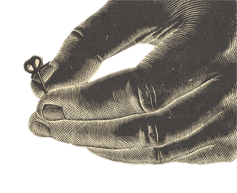 Slawomir Chrystow branding