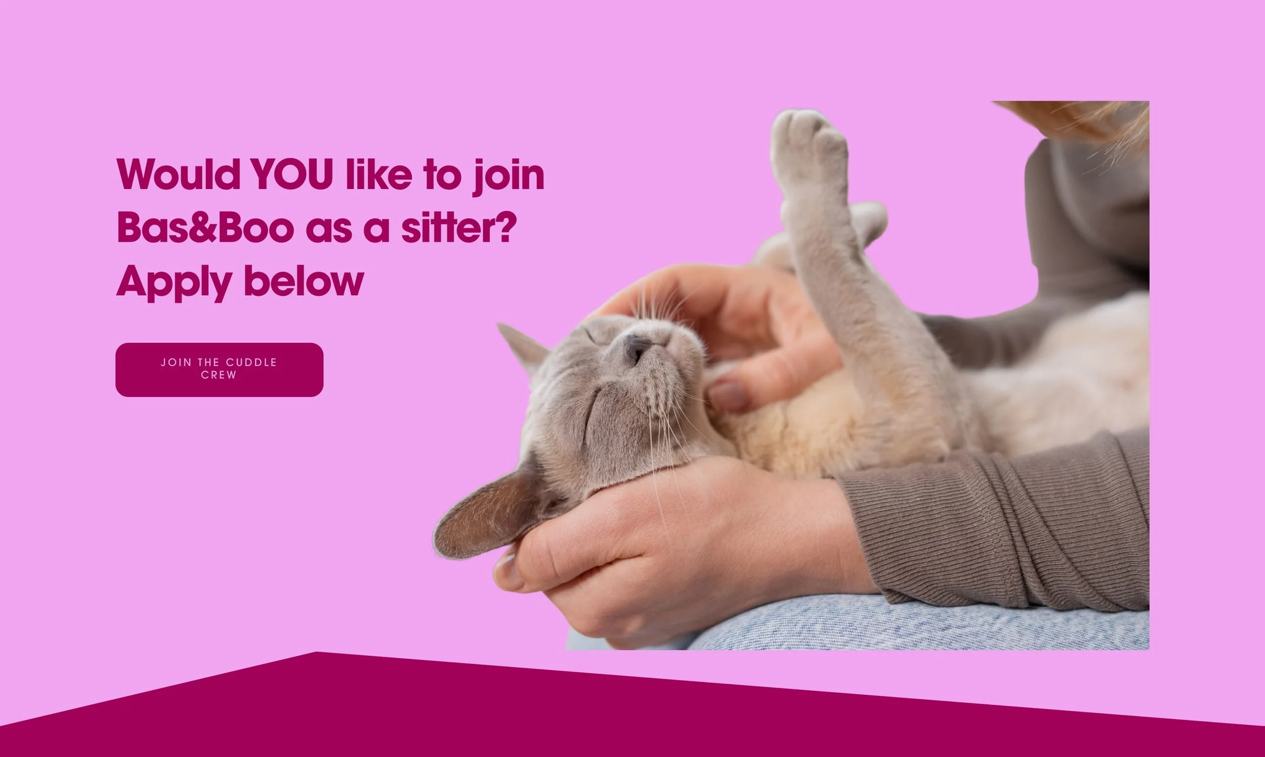 Website section design for Bas and Boo