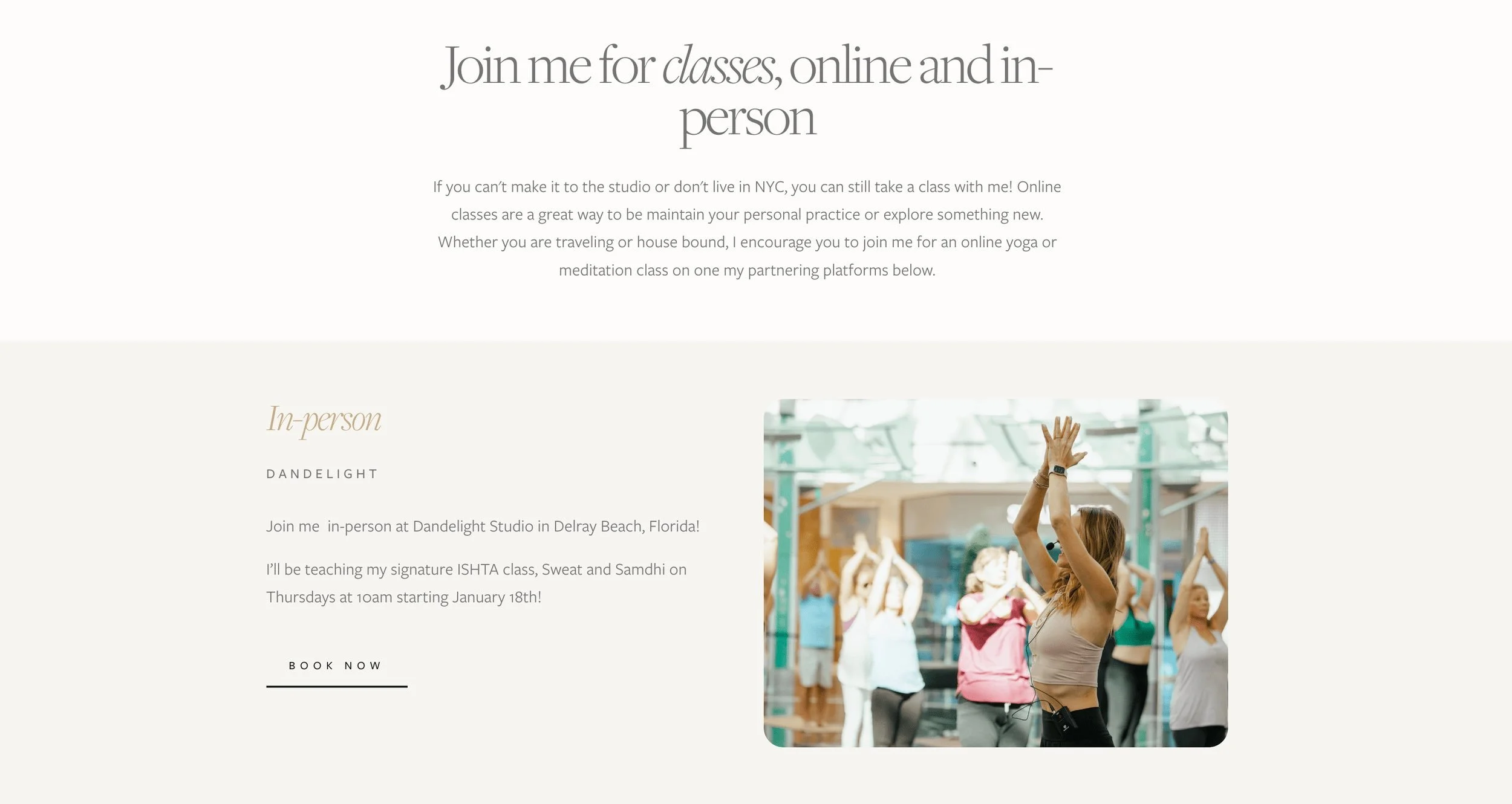 Sarah Platt Finger website design