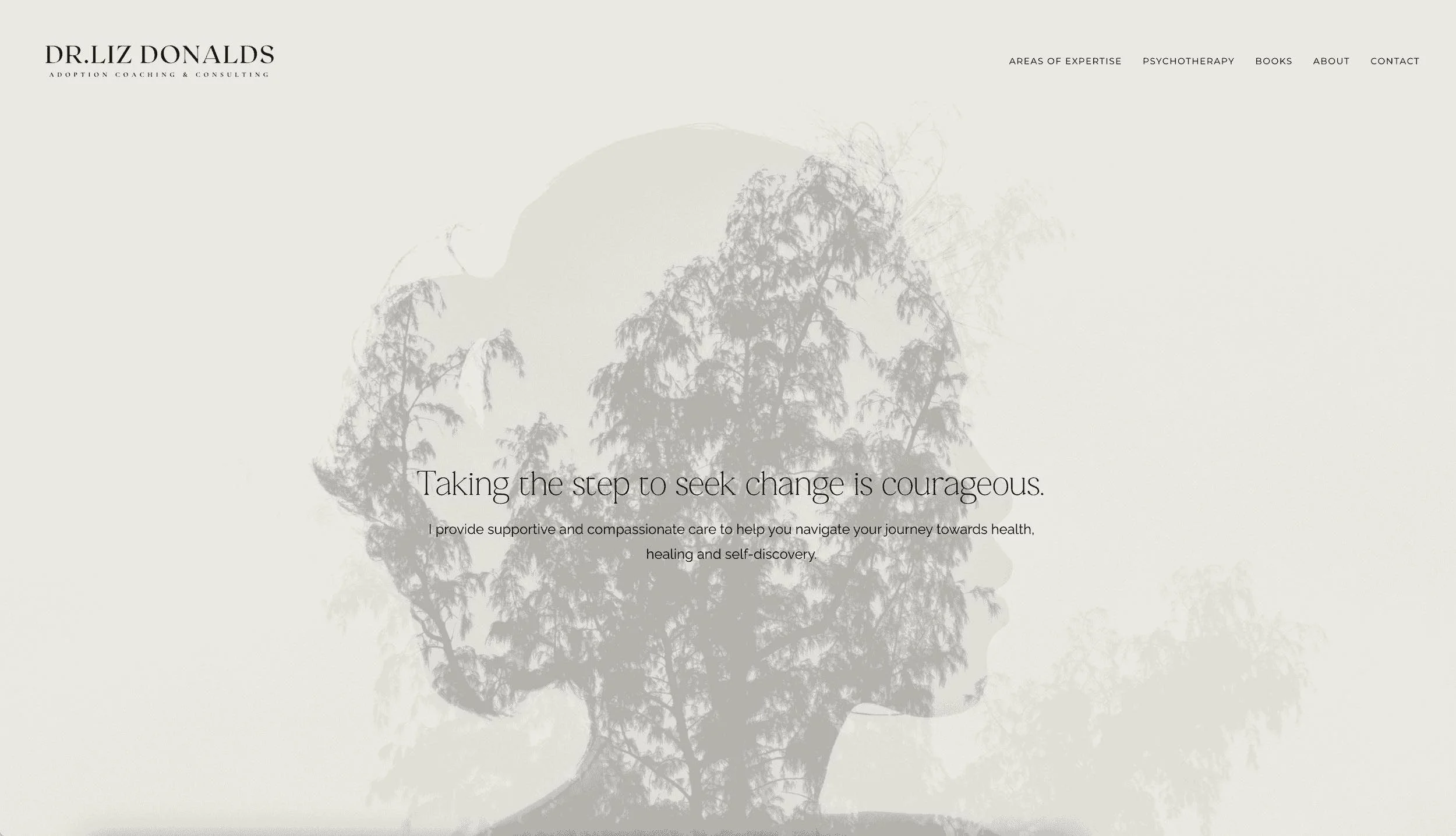 The Adoption Psychologist