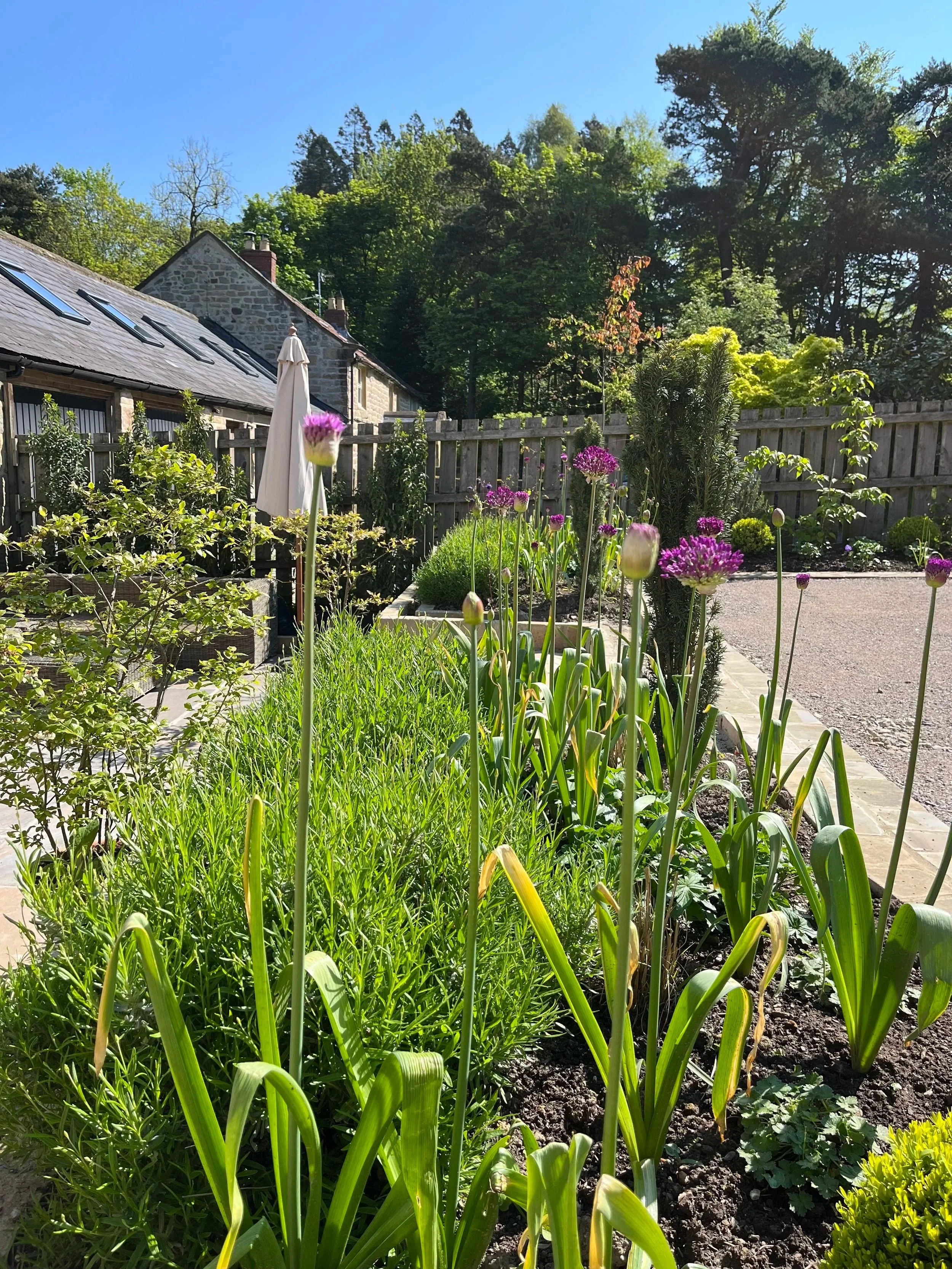 Plan now for a Spring Boost!