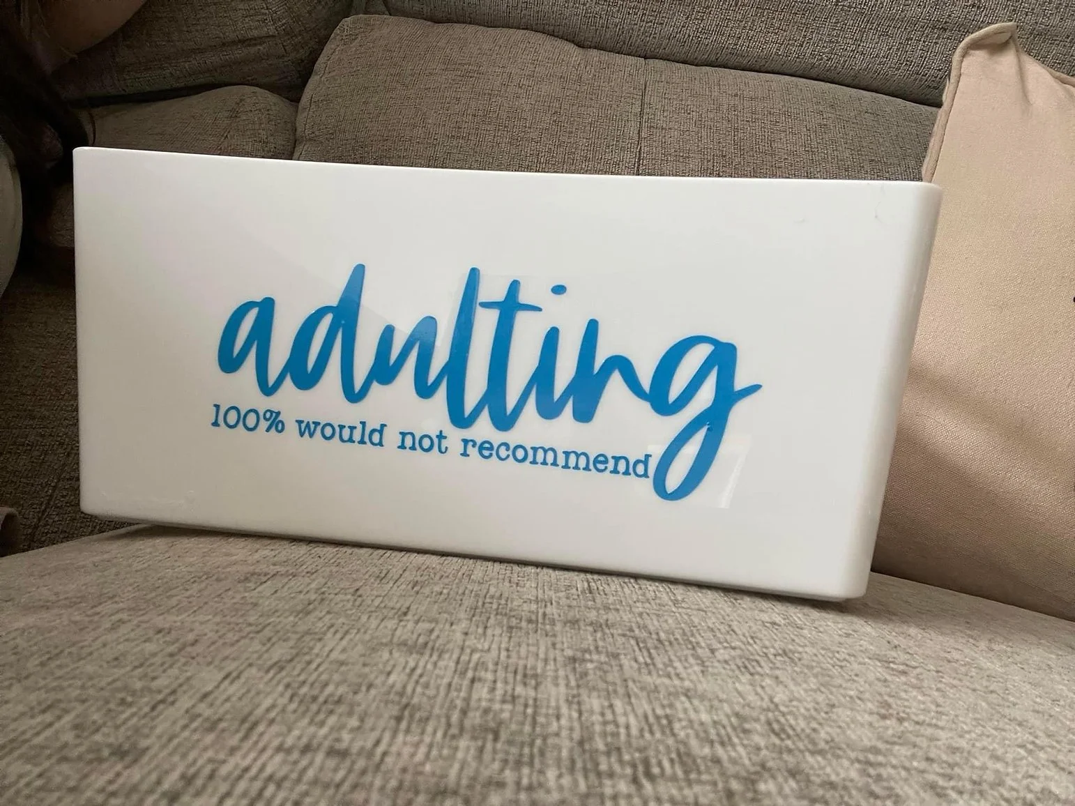 Humorous 'Adulting' Storage Tray