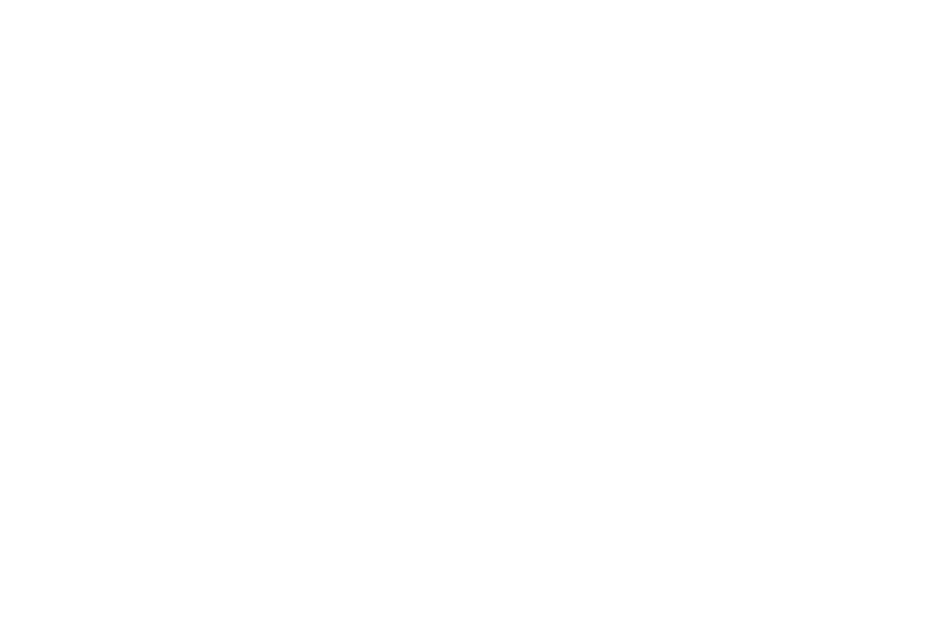 Mindset and Tantric Intelligence white.png