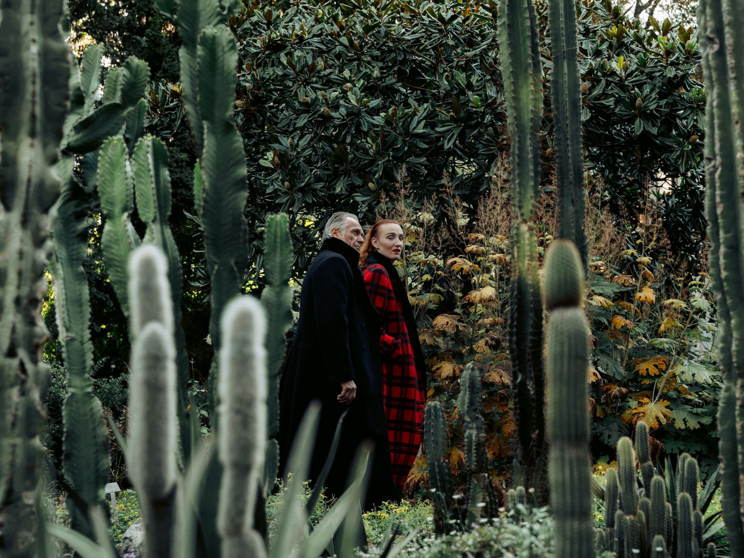 Two people walking among tall cacti and lush greenery in a botanical garden or desert conservatory.