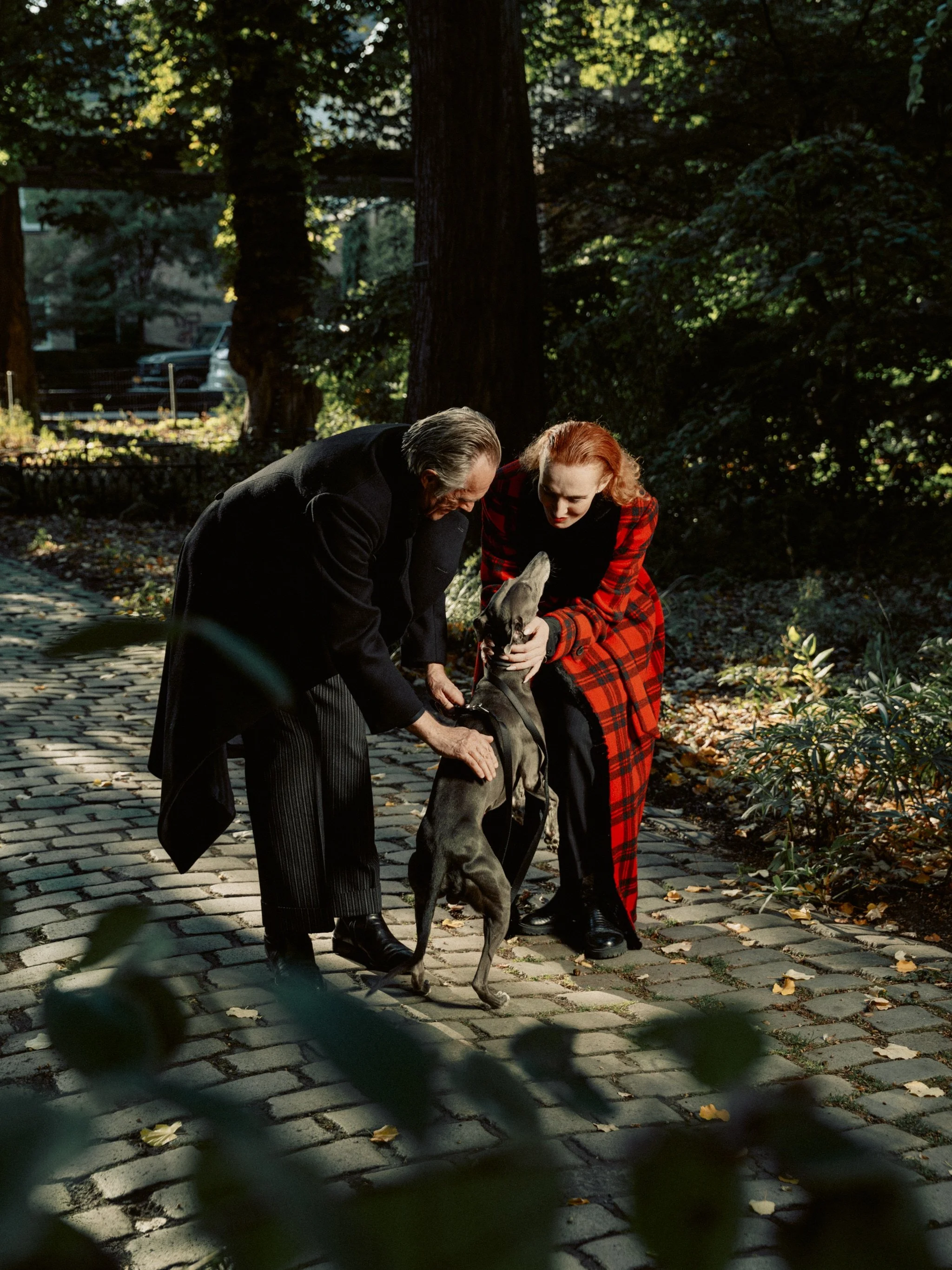 An older man and a woman are walking a greyhound dog on a cobblestone path in a wooded park, with tall trees and greenery surrounding them.