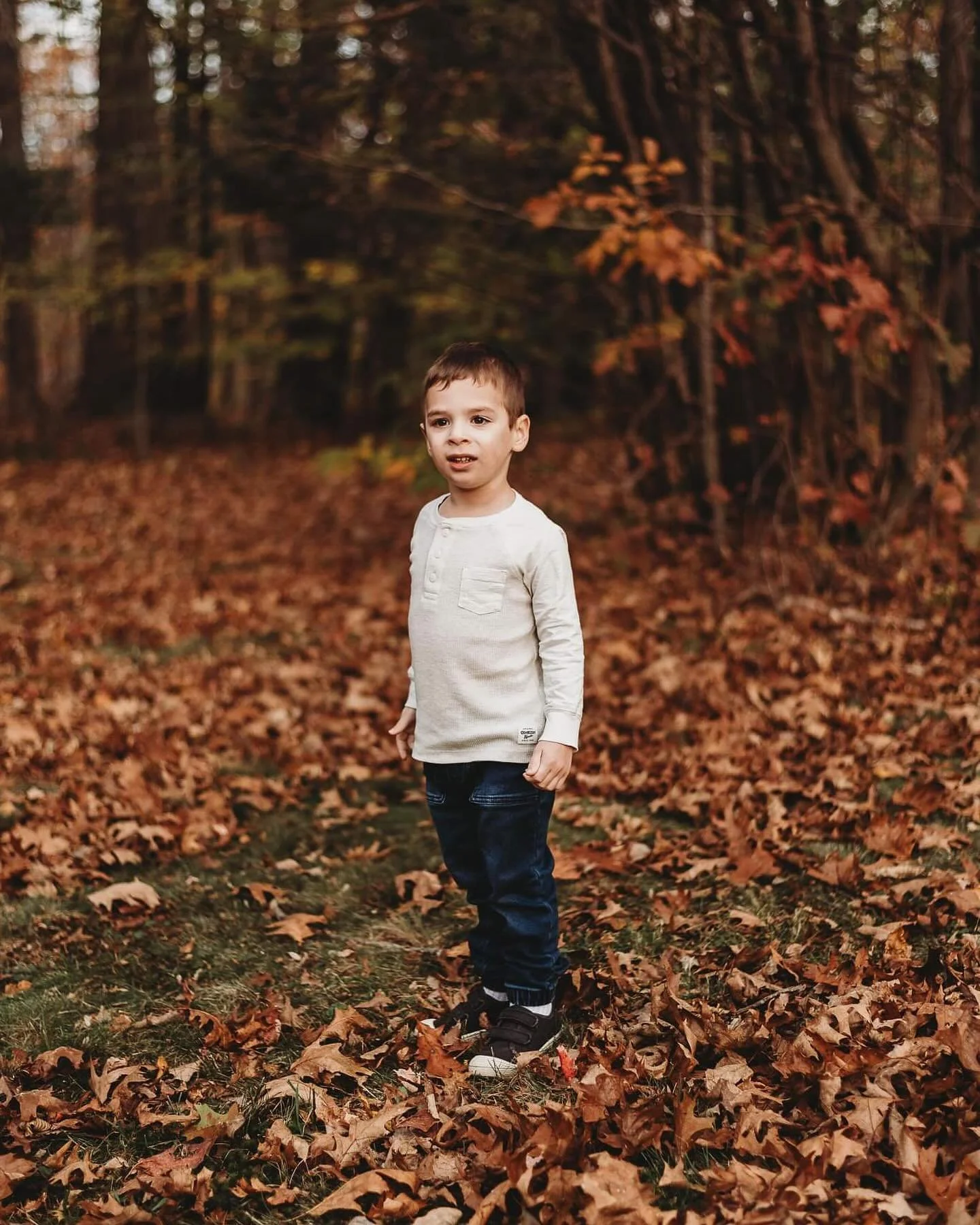 Fall family sessions 2023 #amandaadamsphotography #fallfamilysession #autumn #Bostonphotographer
