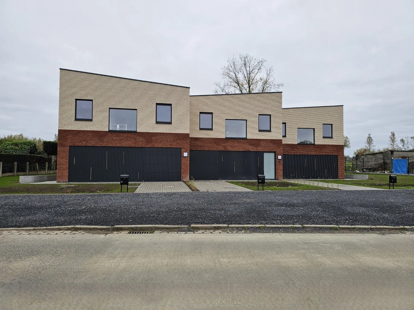20251029_101023 (Groot).jpg