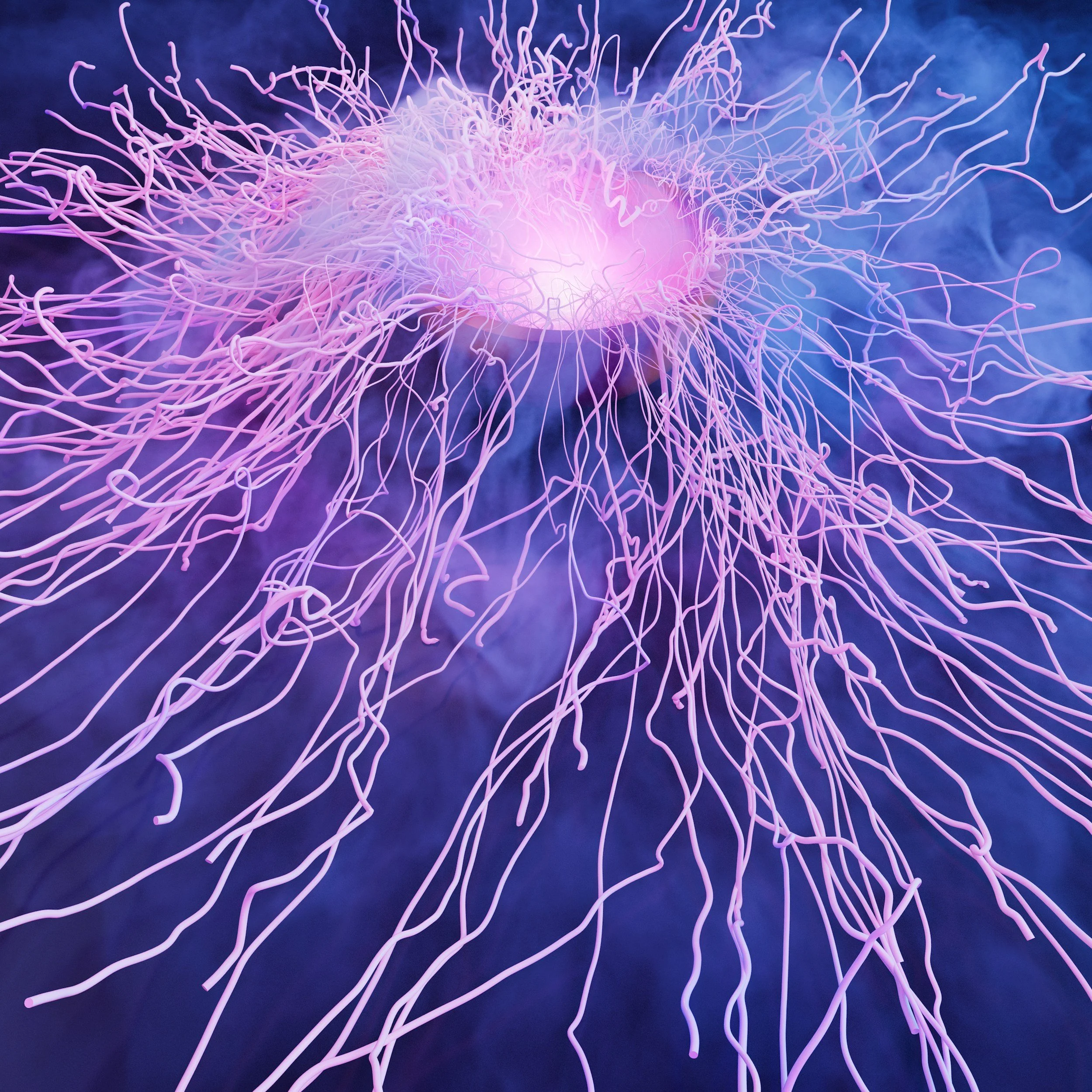 A digital illustration of a single, glowing pink and purple jellyfish with long, thin tentacles floating in a dark blue ocean.