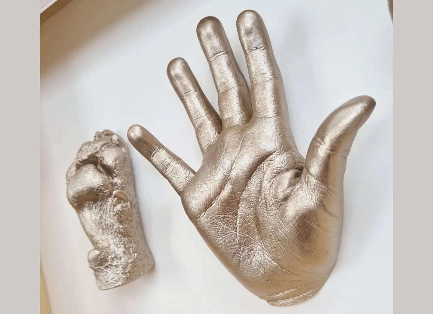 Capturing moments in time for all the family ❤️

#lifecasting #3dcasting #handcast #pawcast