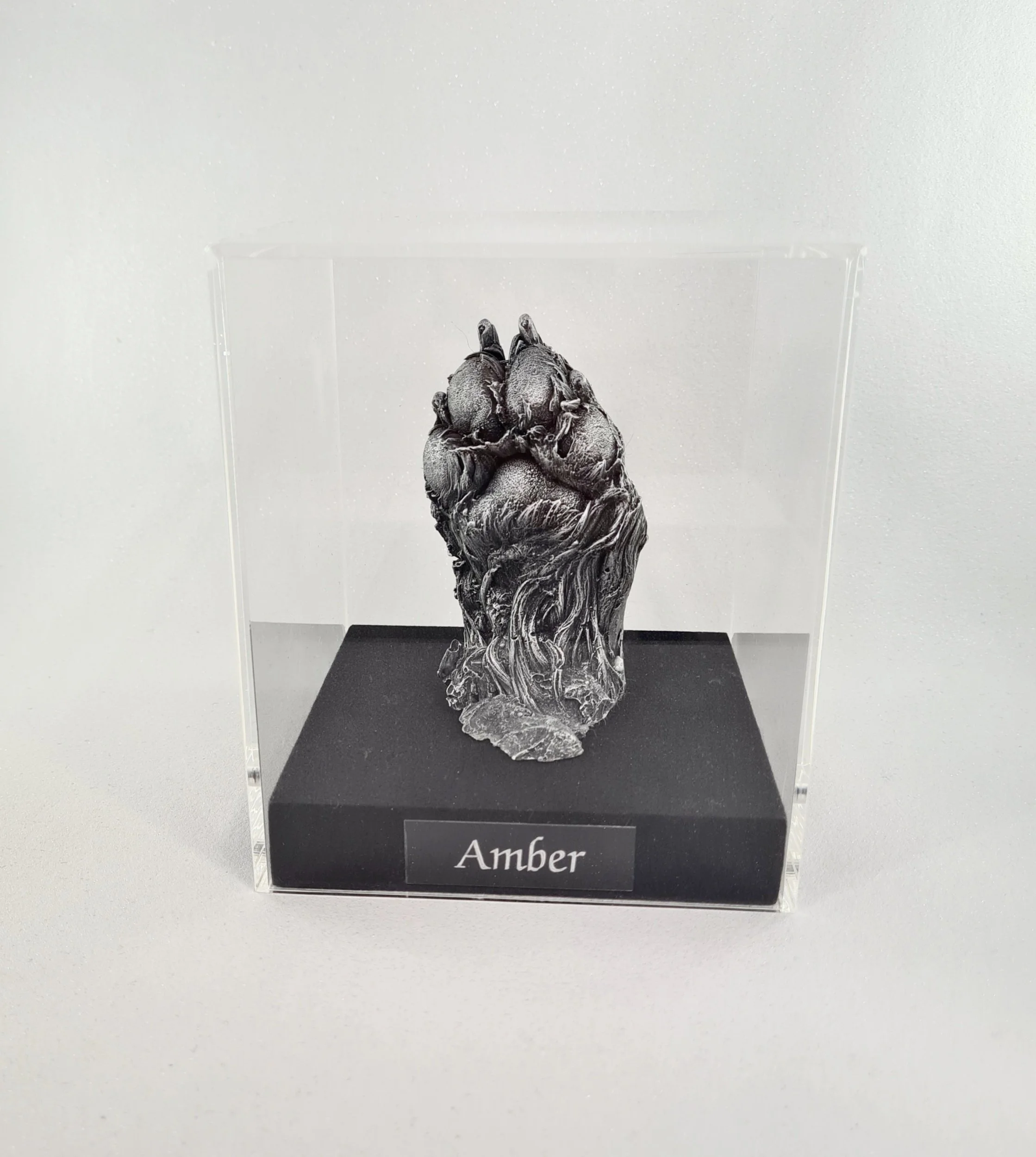 processed_Paw Cast .jpg