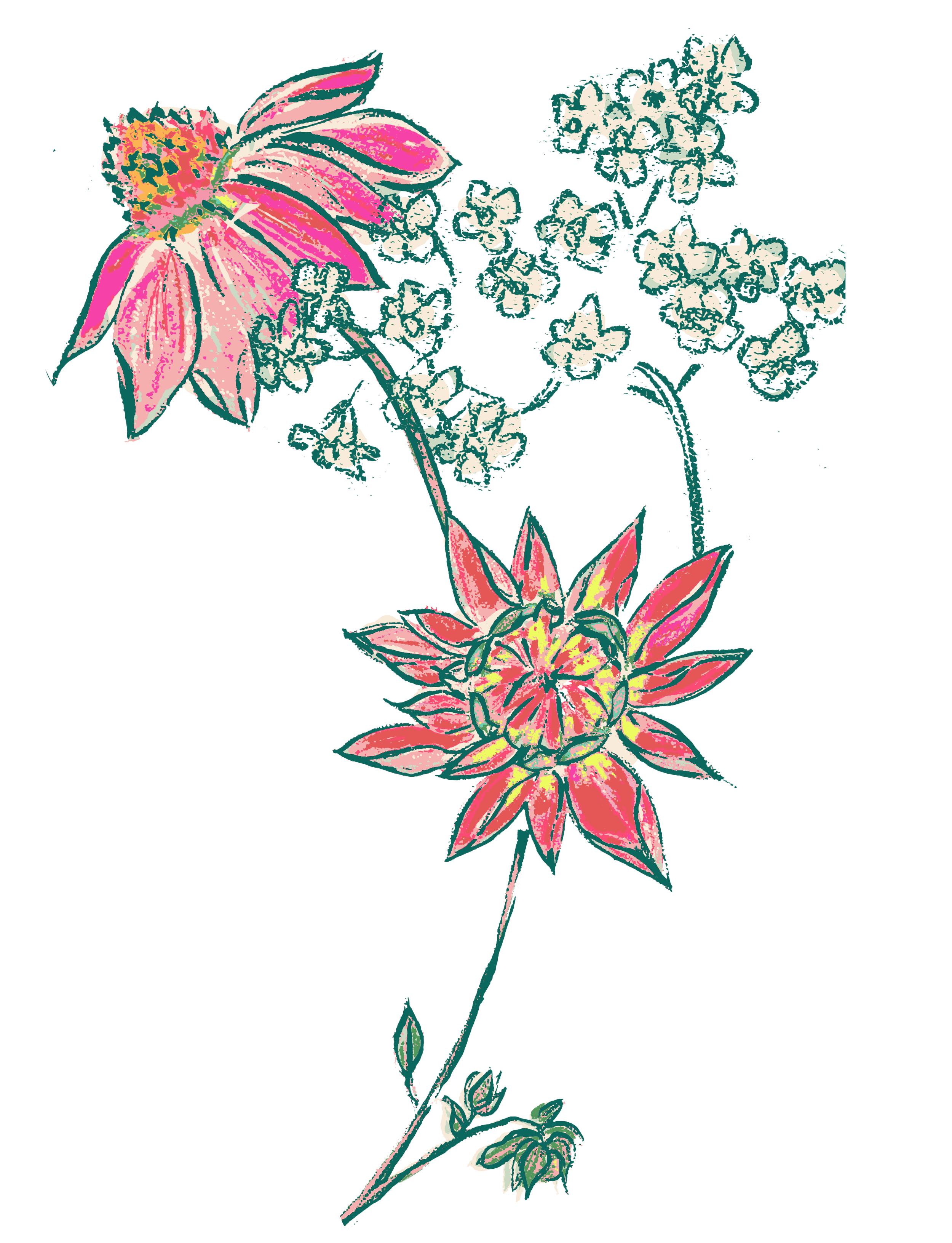 kate parkington summer flowers illustration detail.png