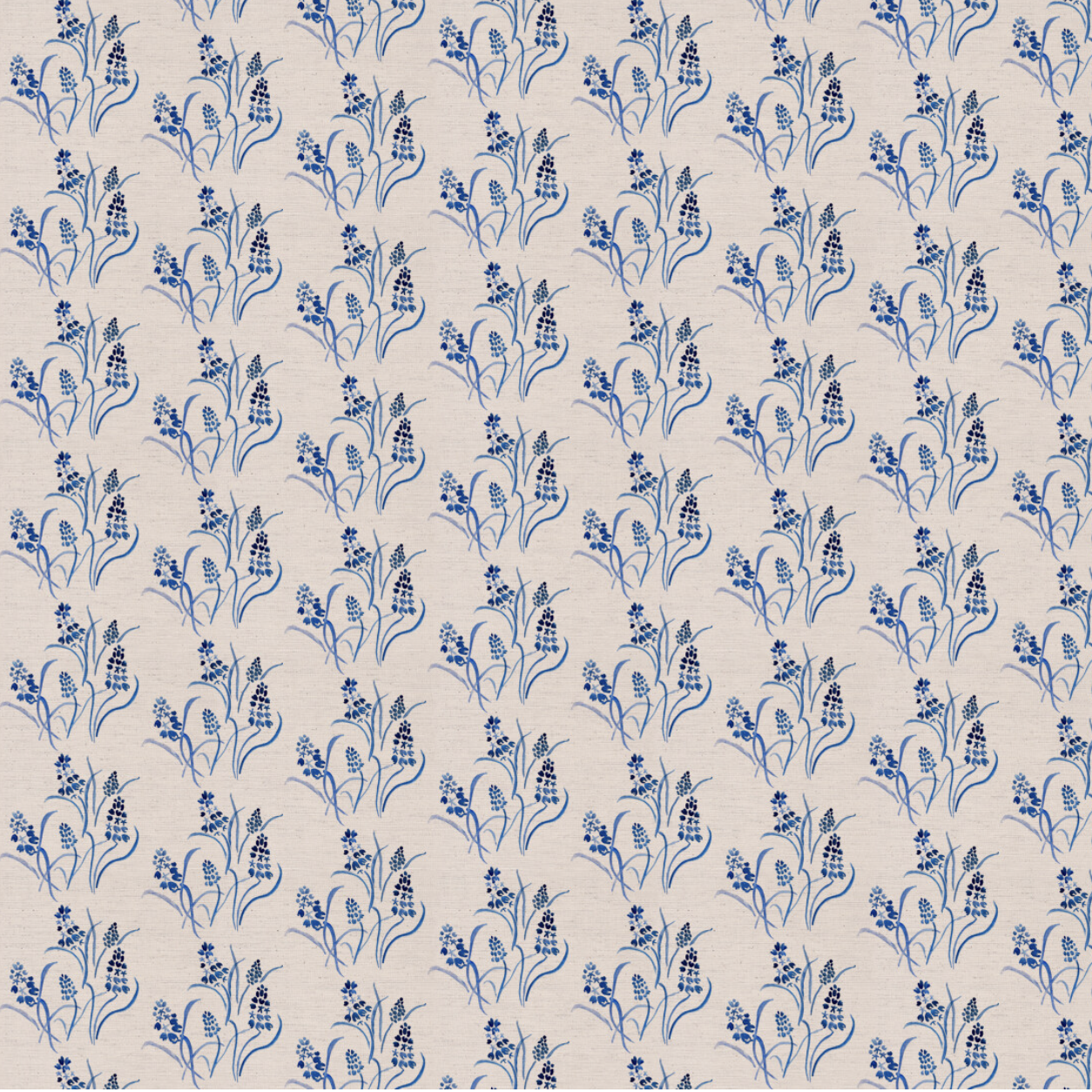 KPstudio_muscarispring_1m.png