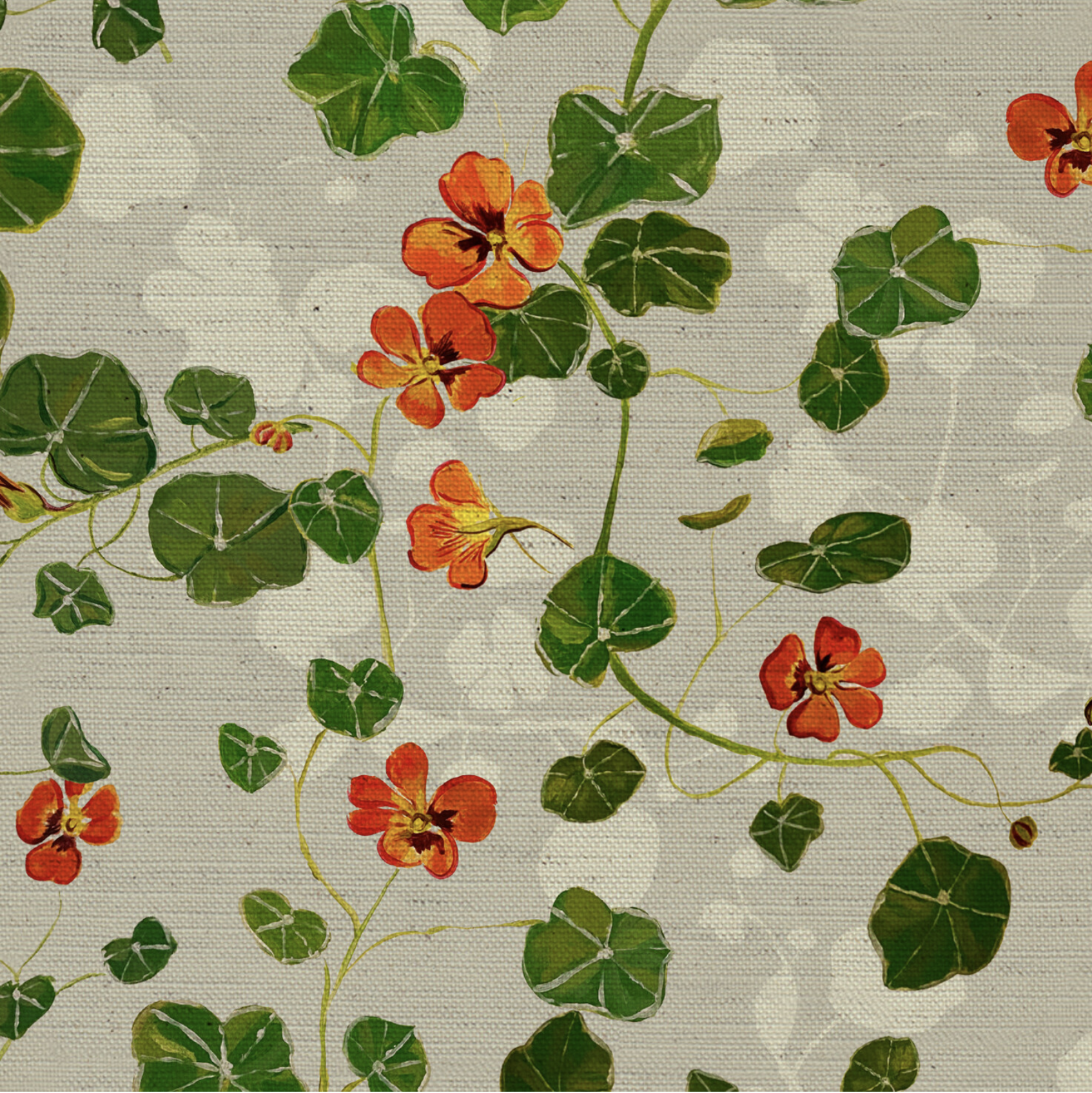 Kpstudio_nasturtium_20cm.png