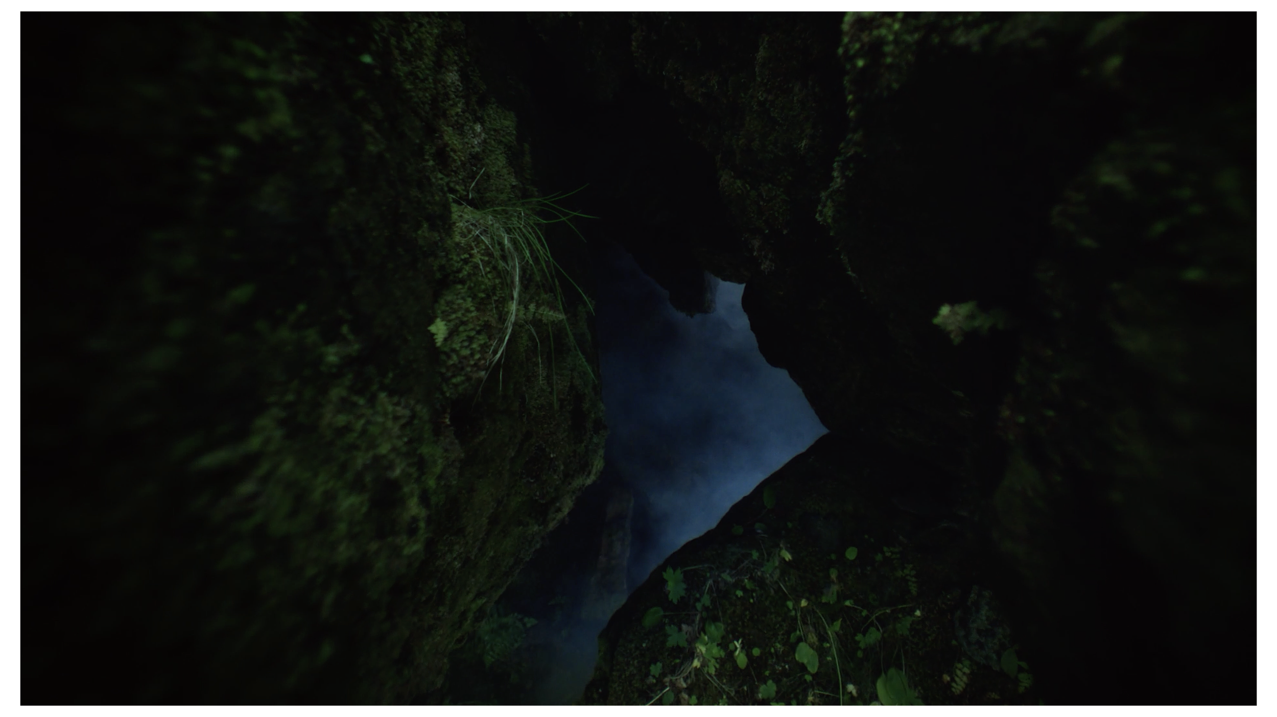 header-bg.png