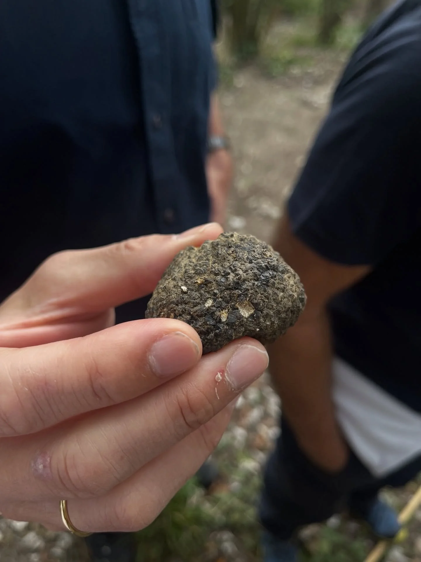 Experiences designed to ignite your senses🍇

More information in our bio!

#epicjourneys #TheUltimateExperienceProvider #winelovers #truffes #tastings #bespoketravel