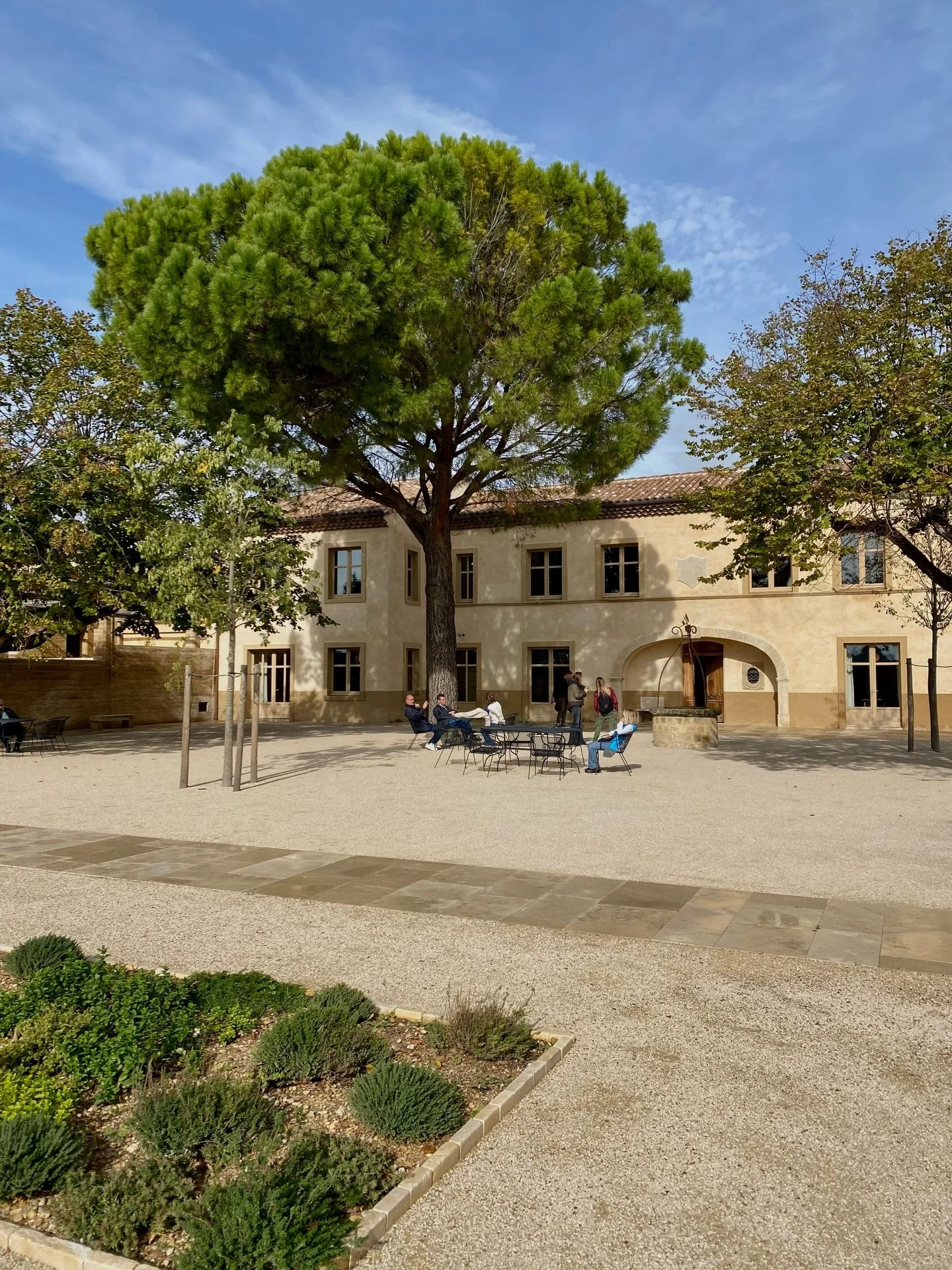Came for the wine. Stayed for the sunshine ☀️🍇

@chateaudebeaucastel 

🔗 For your own trailer-made experience, get in touch - craft your own Epic Journey.

#epicjourneys #winetasting #travel #bespokeexperience #bespoke #winetravel