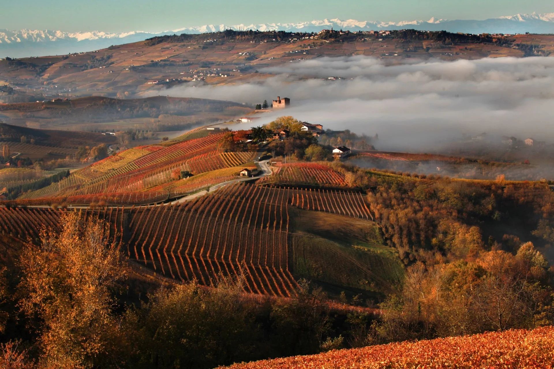 Barolo
