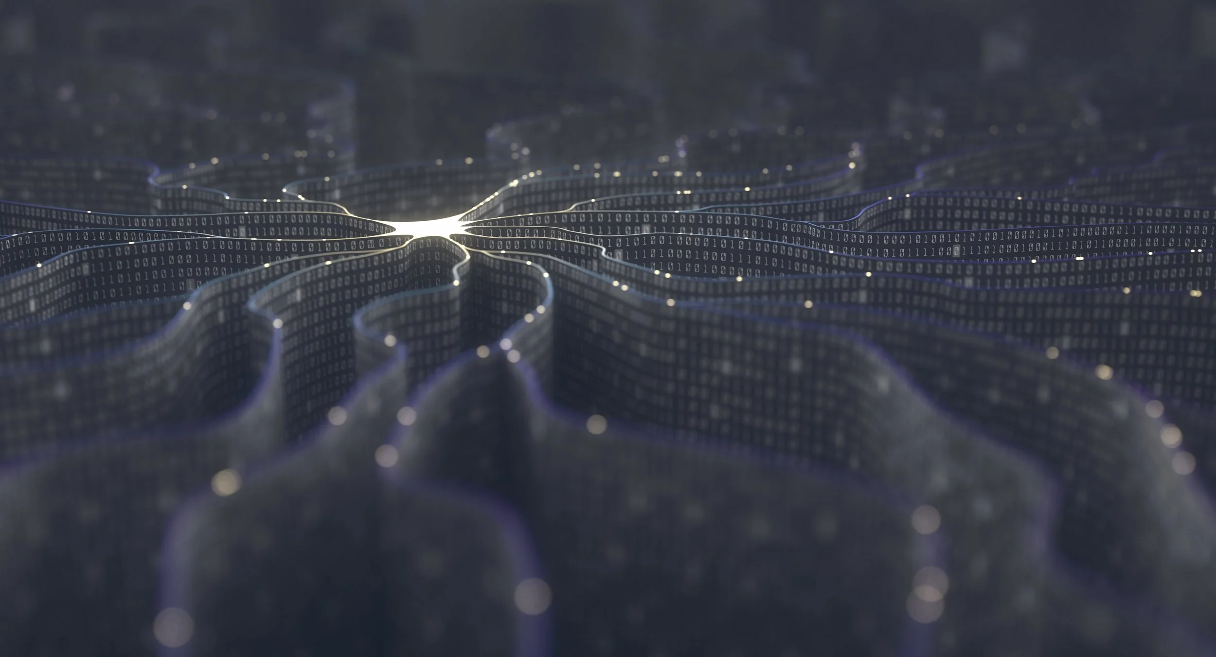 AI Readiness & Adoption