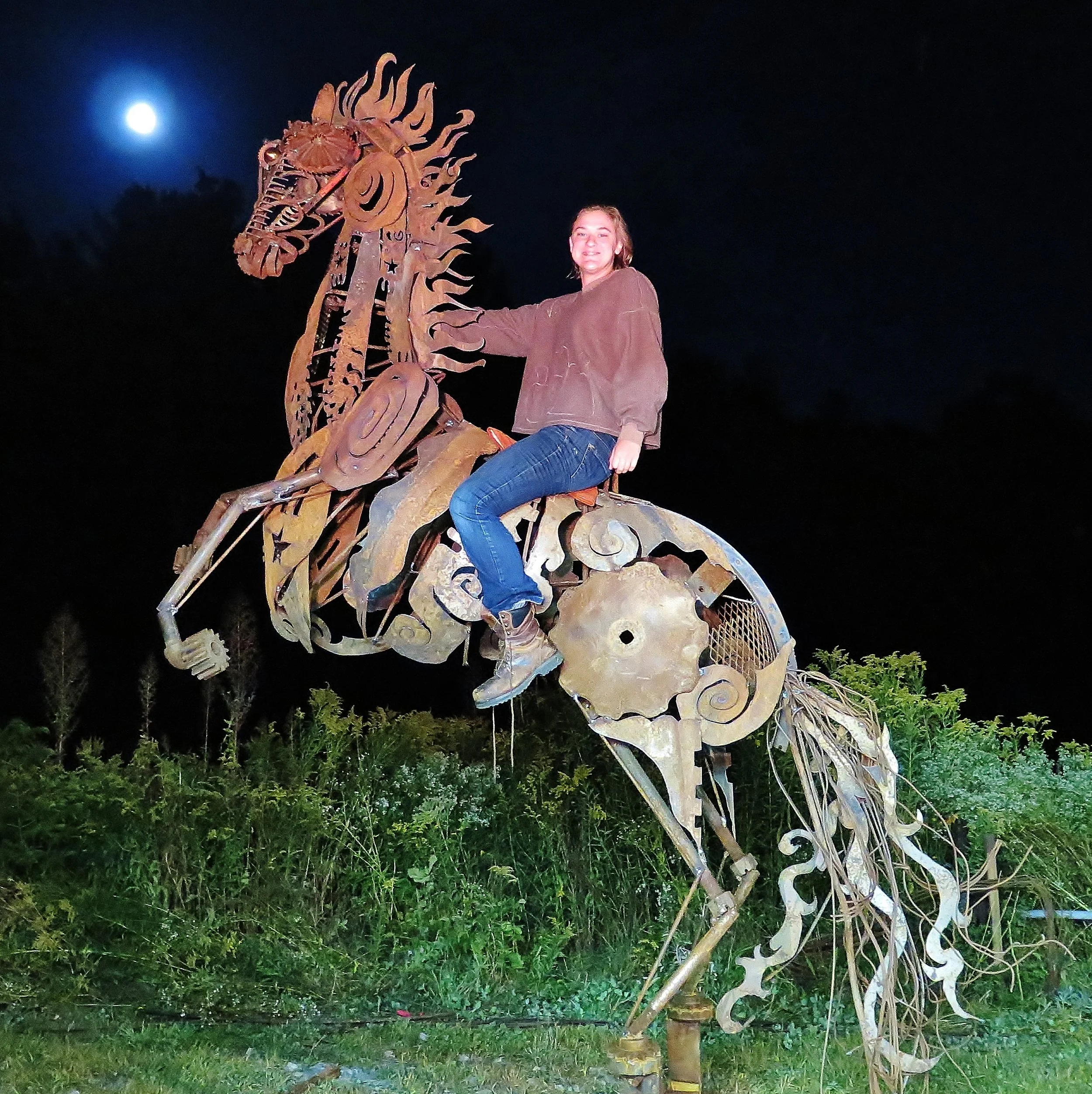 Horse With No Name - 2014
