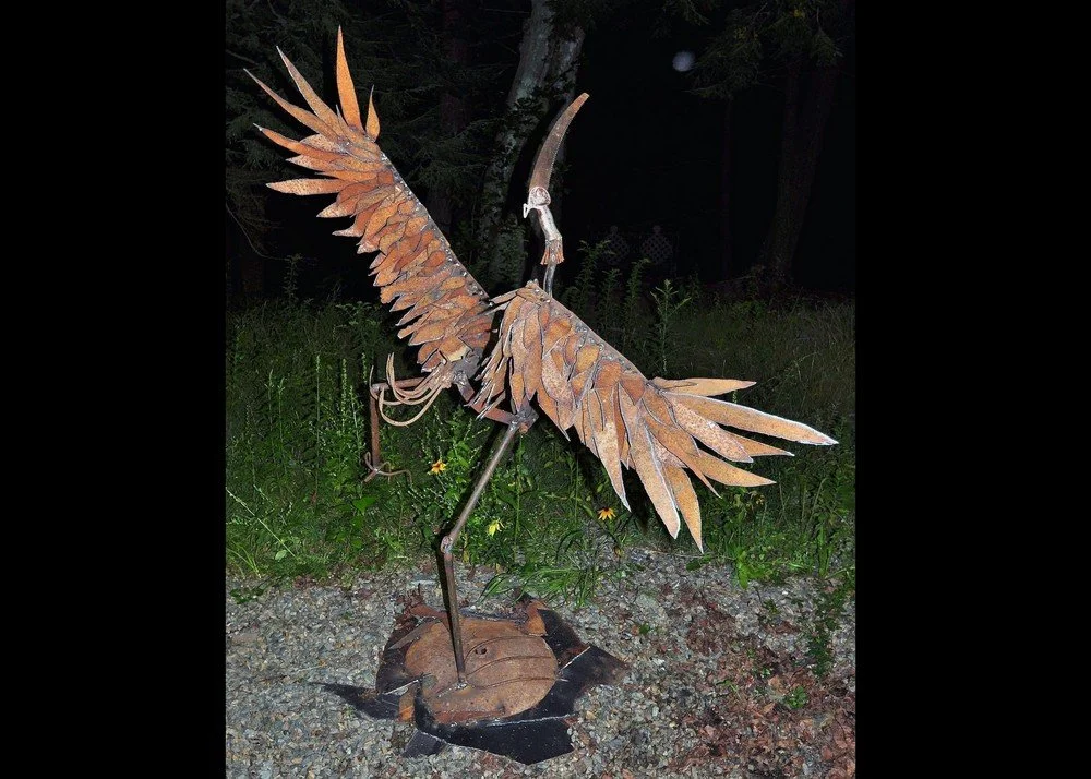 Dancing Crane - 2013