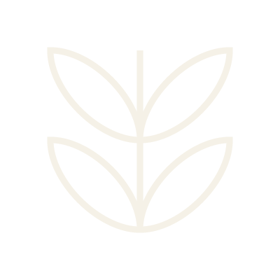 Stylized white plant illustration with three leaves on a black background.