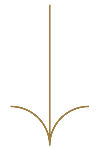 Icon of a down arrow.