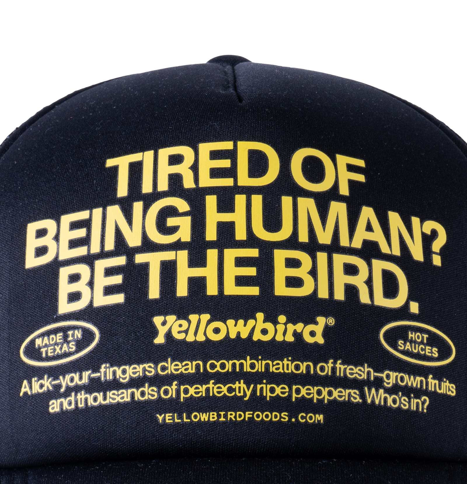 YB_BETHEBIRD_BLK_TRUCKER_HAT_PDP_HEADER-3.png