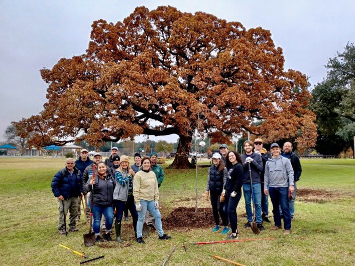 Tree Project - updated.jpg